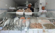 Dia do Peixe 3 - Dirceu