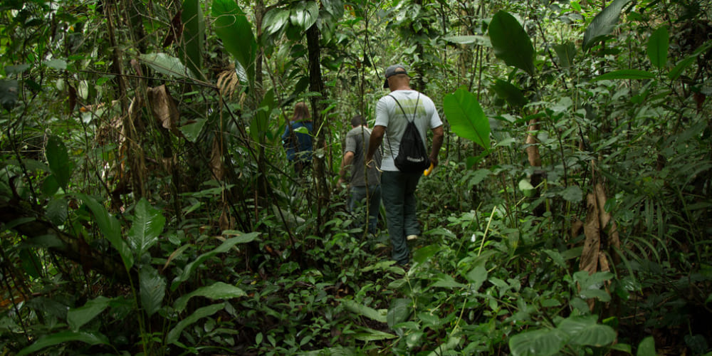 Trilha Vale-verde até Cachoeira do Elefante