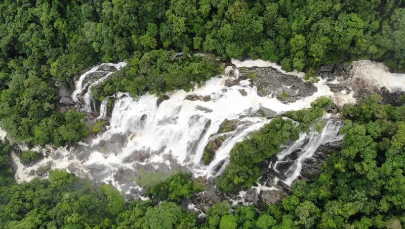 Trilha da Cachoeira do Elefante