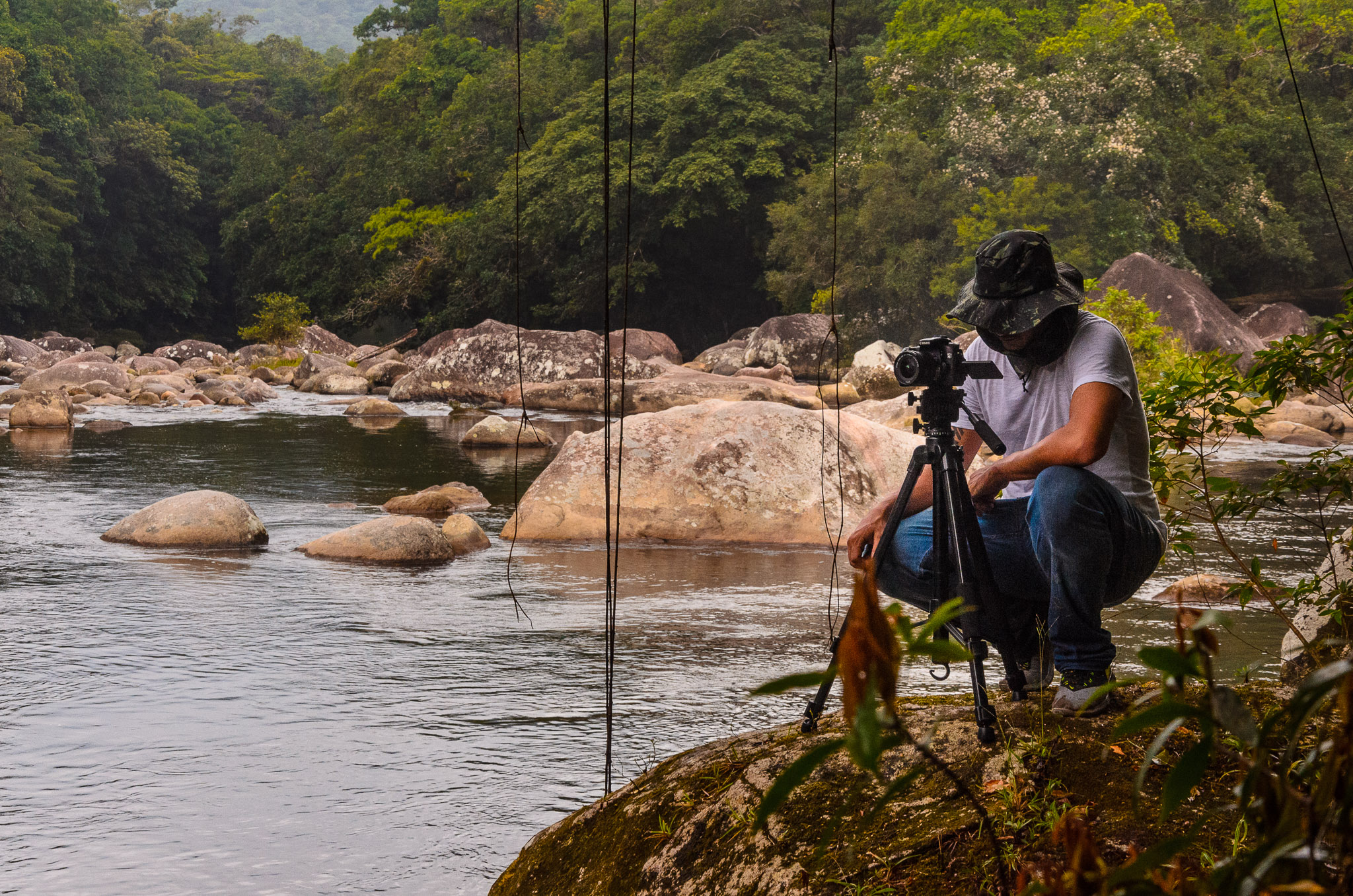 Trilha Ribeirão dos Monos