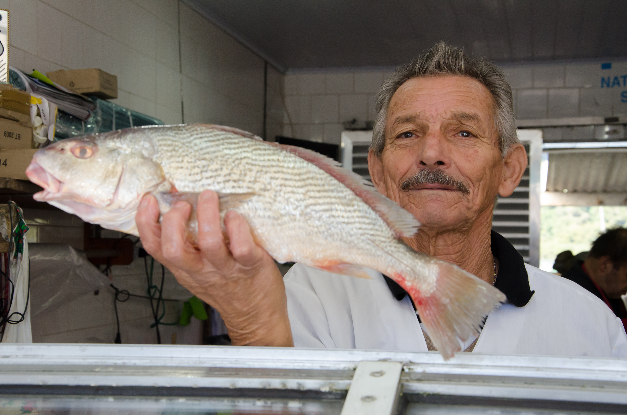 Quarta-feira tem promoção de pescados no Mercado Municipal