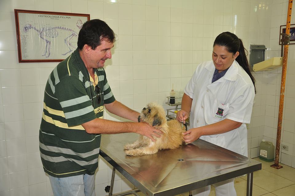 Campanha de Vacinação Antirrábica começa em Bertioga nesta segunda (10)