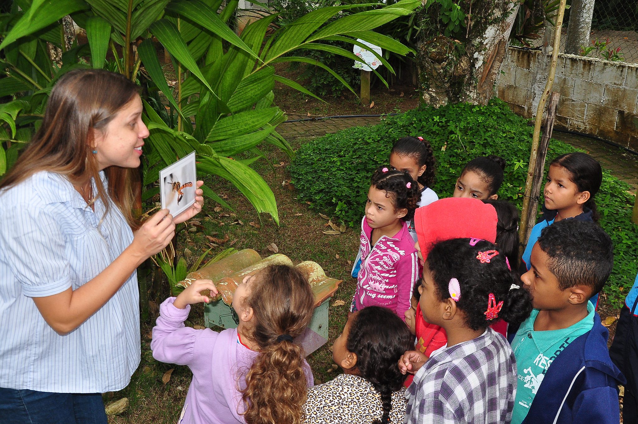 Dia do Meio Ambiente é comemorado com extensa programação