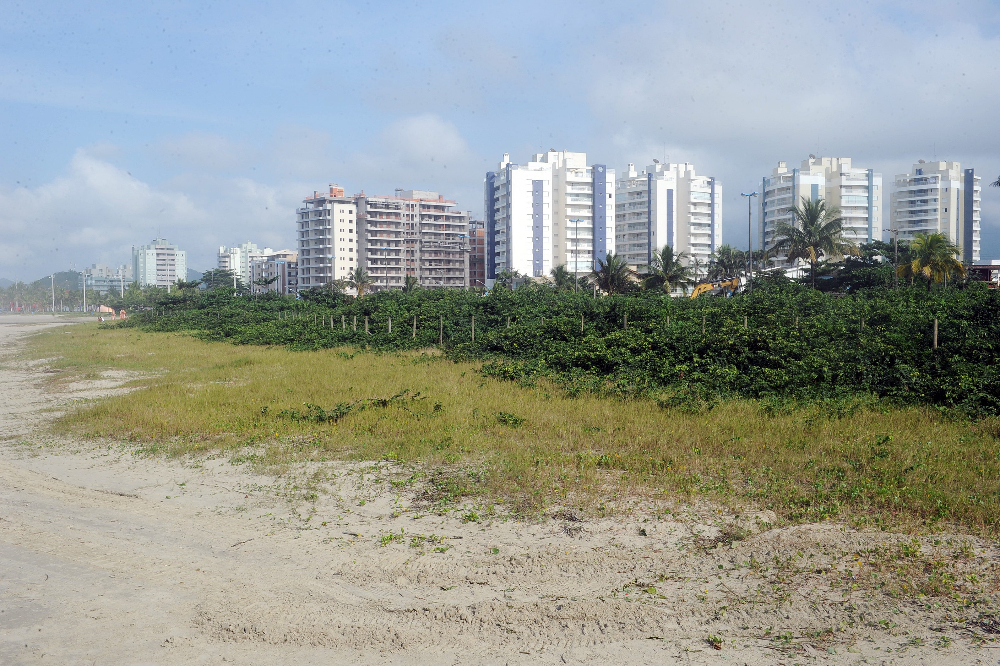 Cidade promove ações para recuperação do jundu na orla