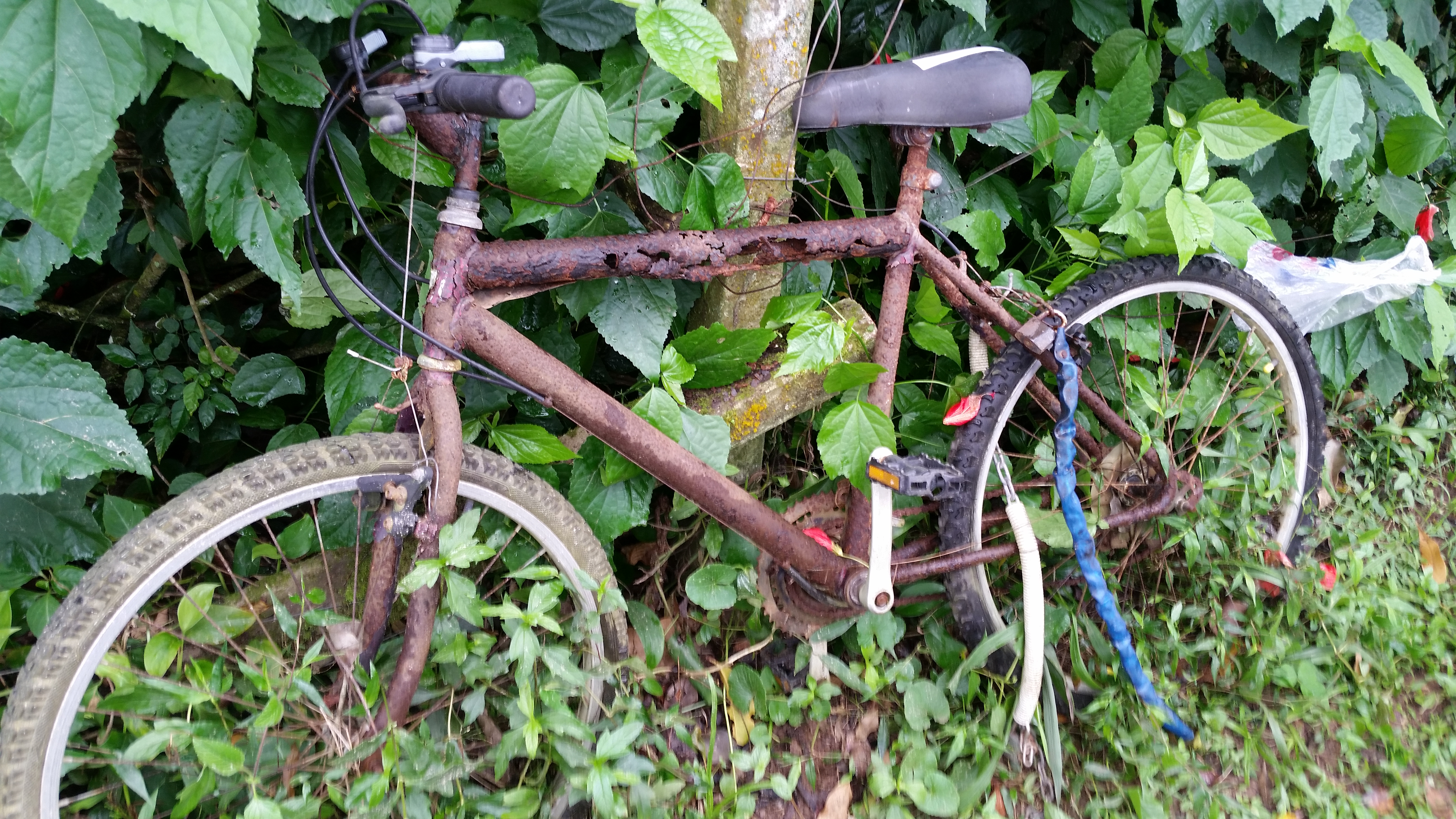 Trânsito recolhe 27 bicicletas em estado de abandono, na Riviera