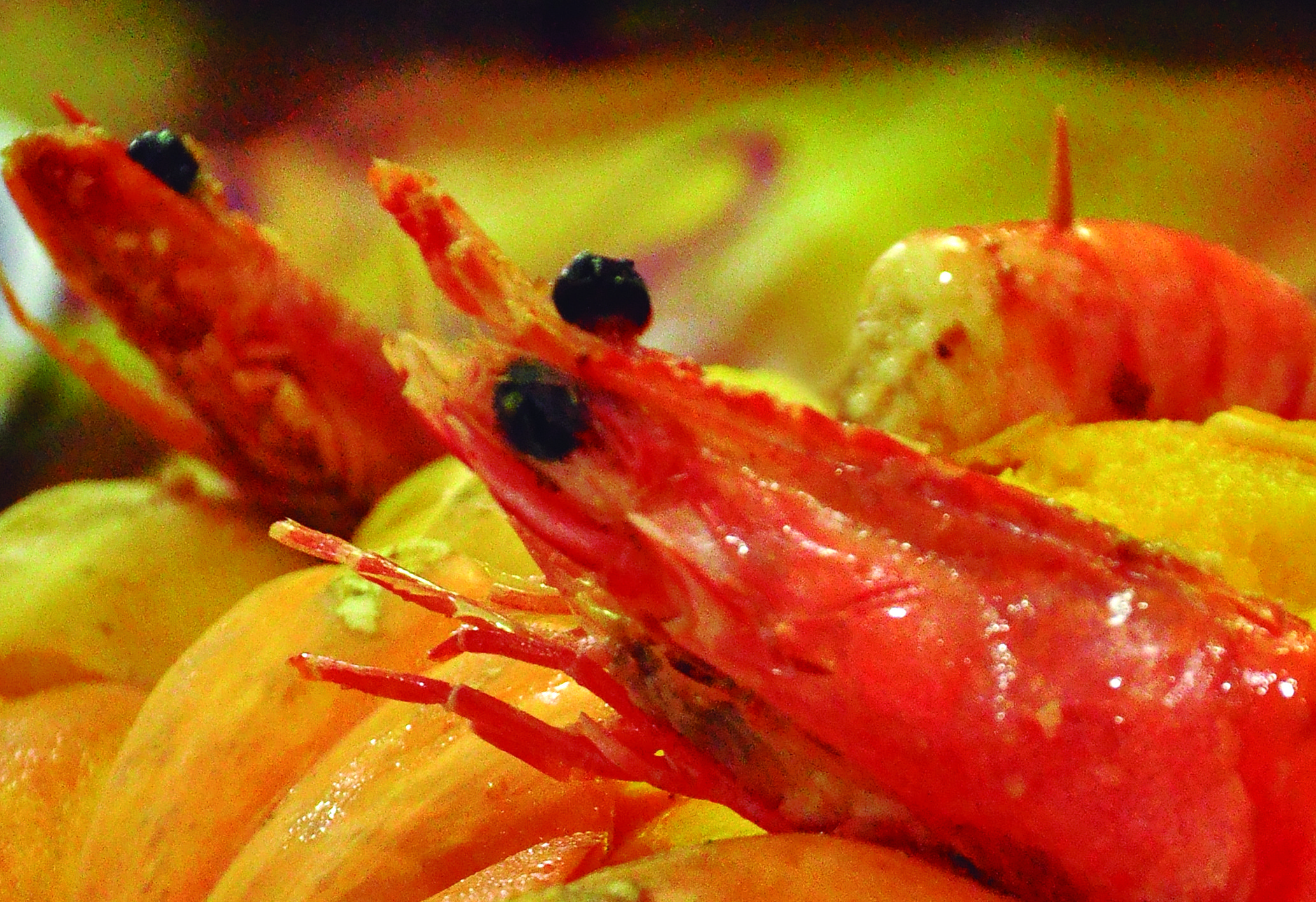 Festival Gastronômico:  agosto é o mês do camarão