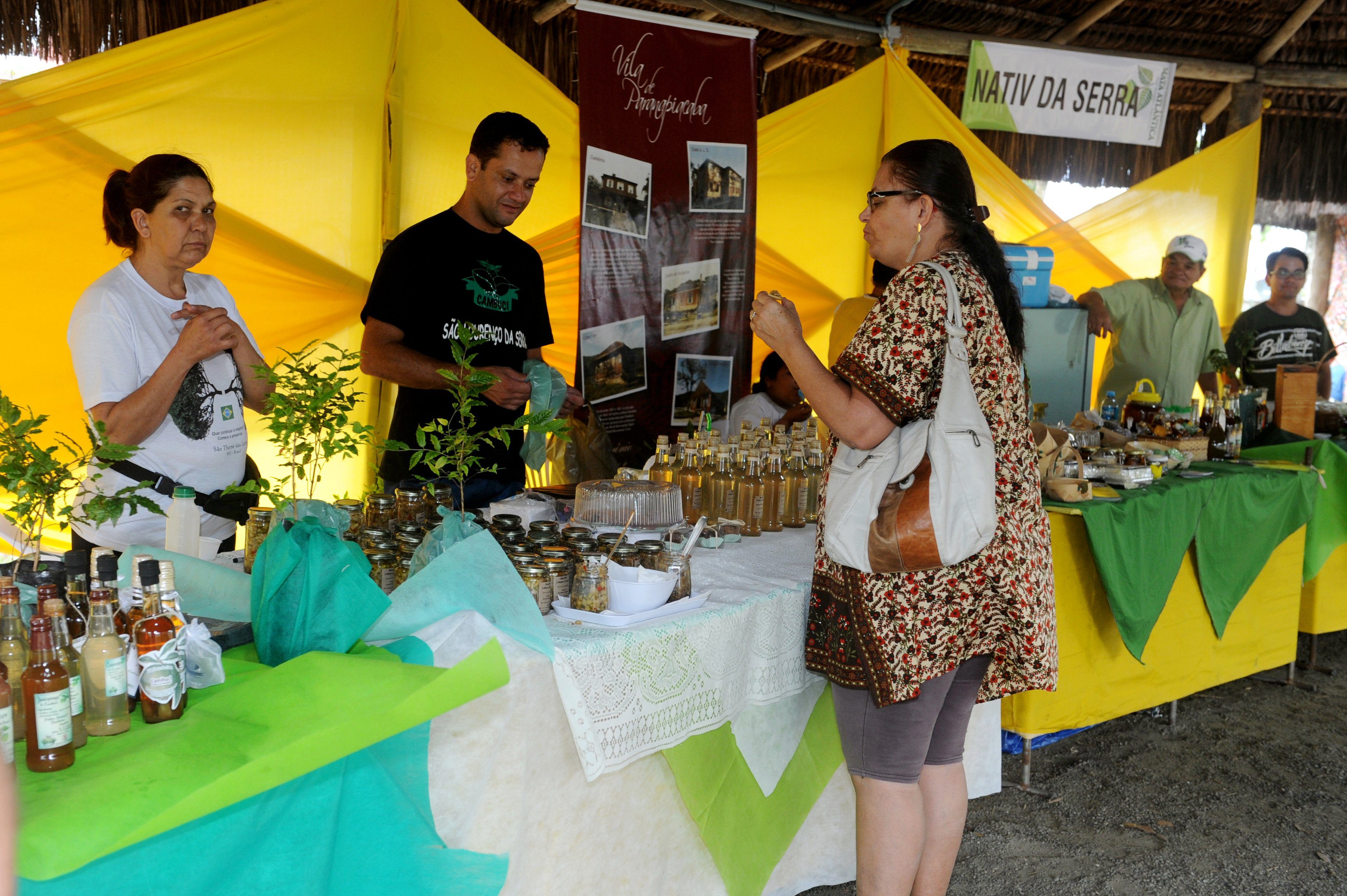 Revela Bertioga e Festival da Mata Atlântica prometem movimentar o feriado de outubro