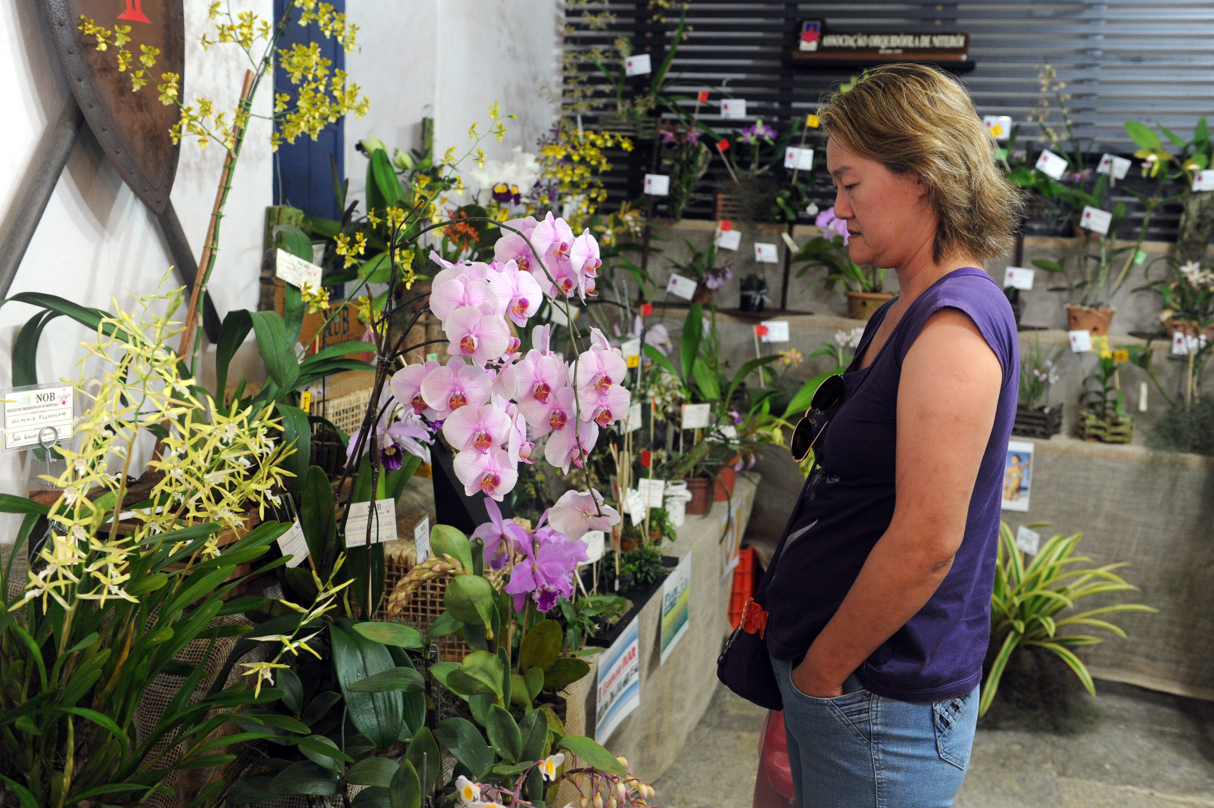 Exposição de Orquídeas e Bromélias começa nesta sexta (30)