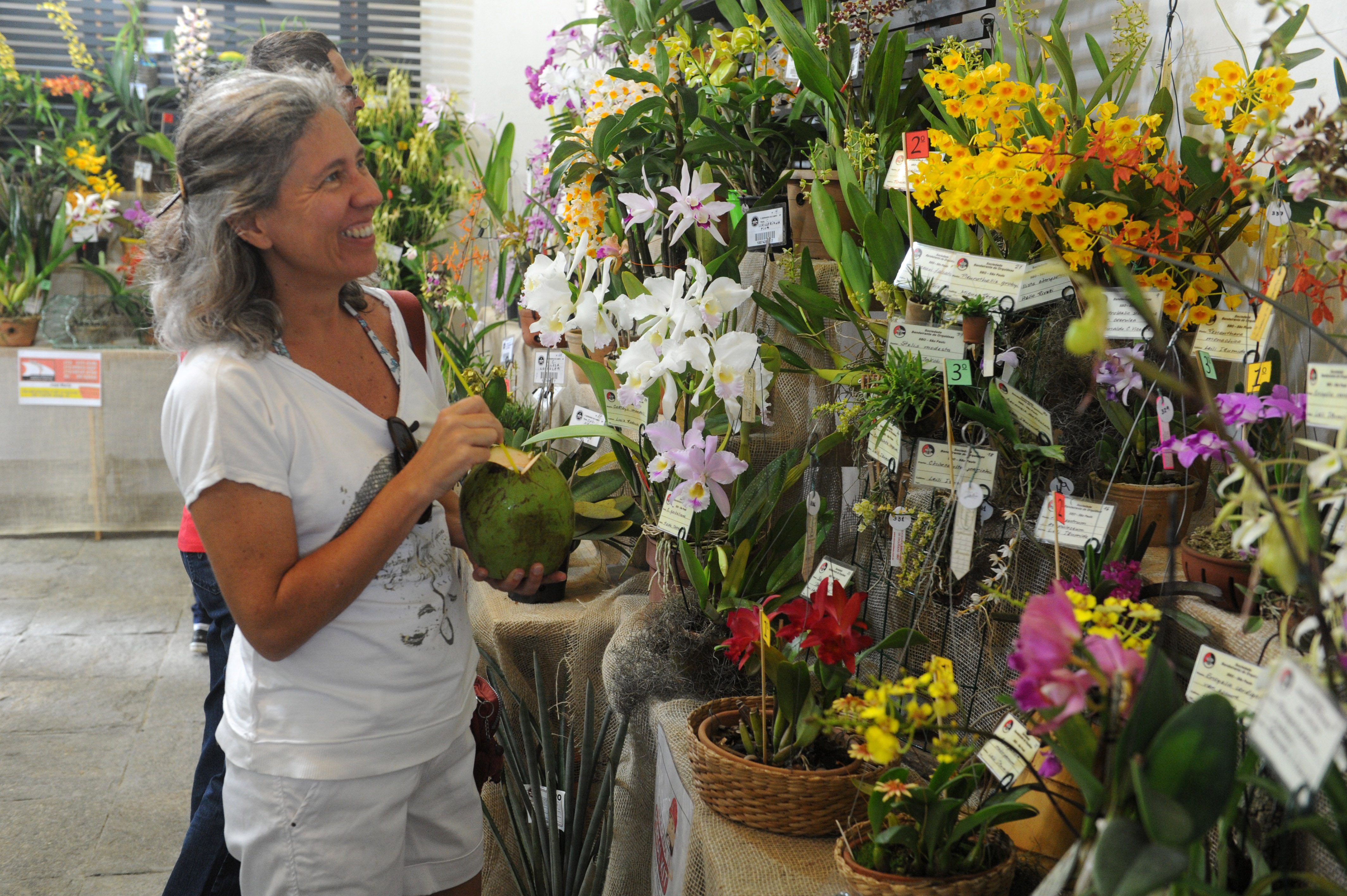 Exposição de Orquídeas e Bromélias começa dia 30