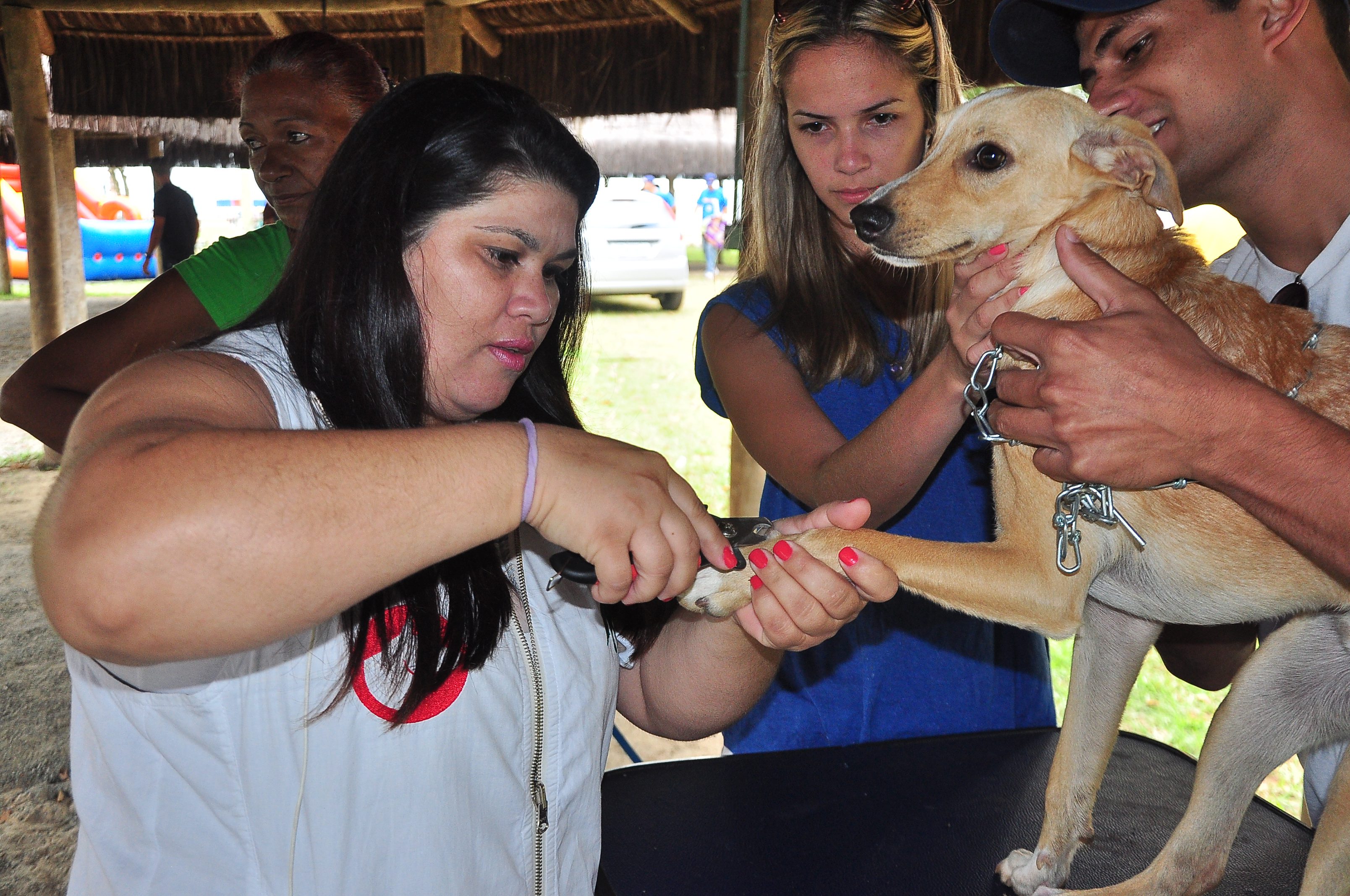 Bertioga realiza 3ª edição da ‘Cãominhada’ dia 22