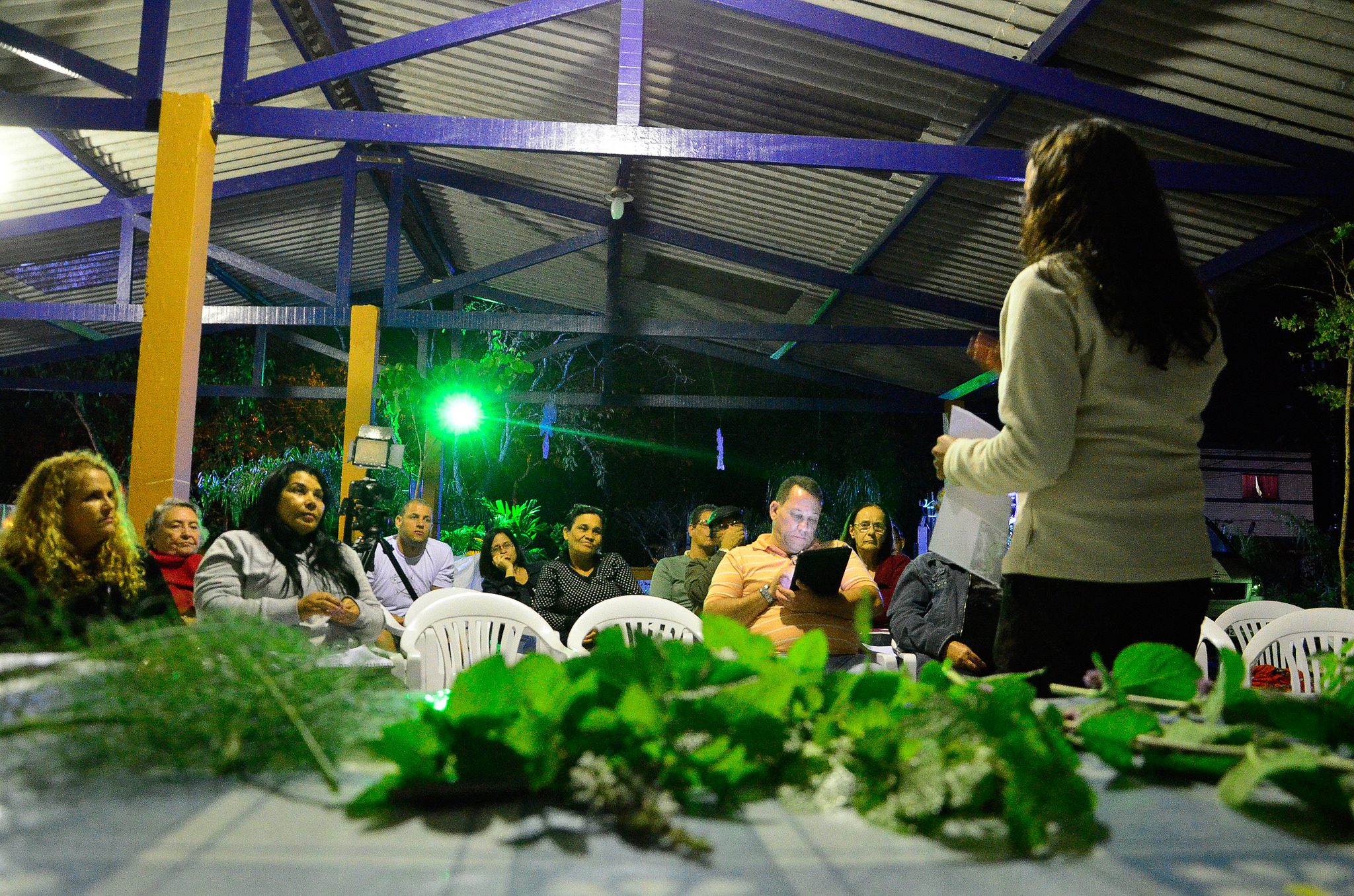 Meio Ambiente abre inscrições para rodas de conversa sobre plantas medicinais