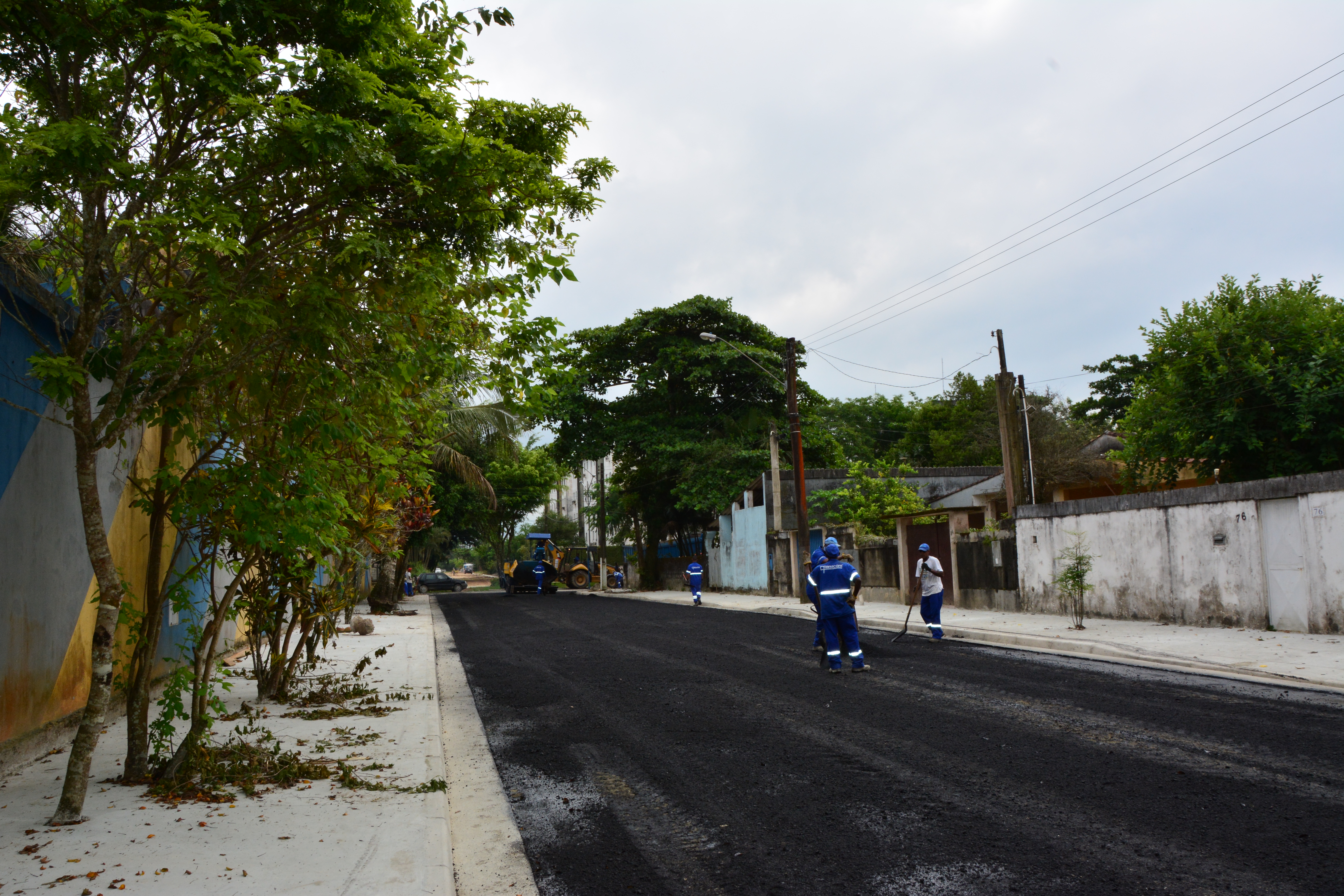 Ruas que foram pavimentadas receberão plantio de mudas