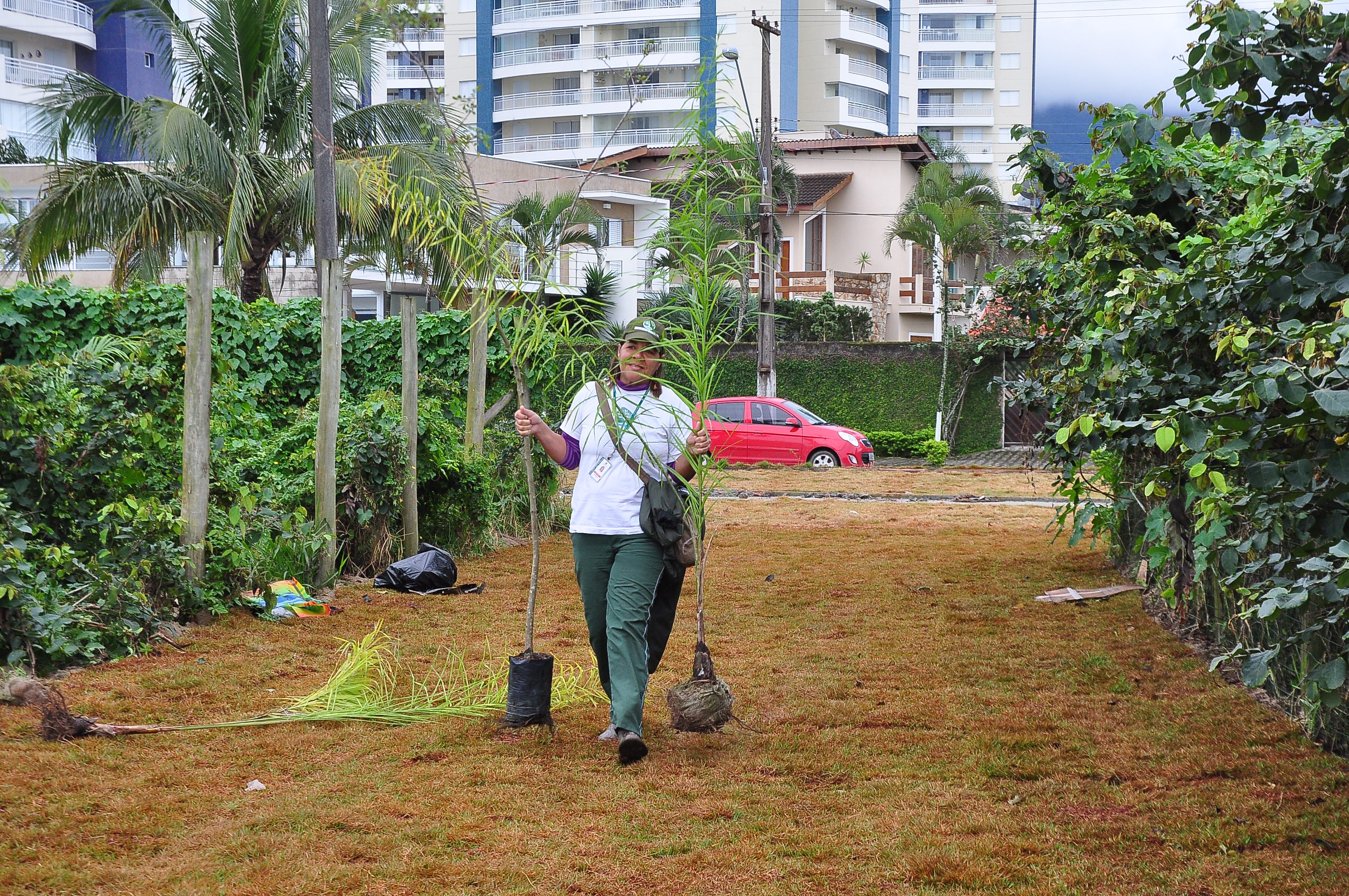 Alunos da rede municipal realizam plantio de mudas de palmito juçara