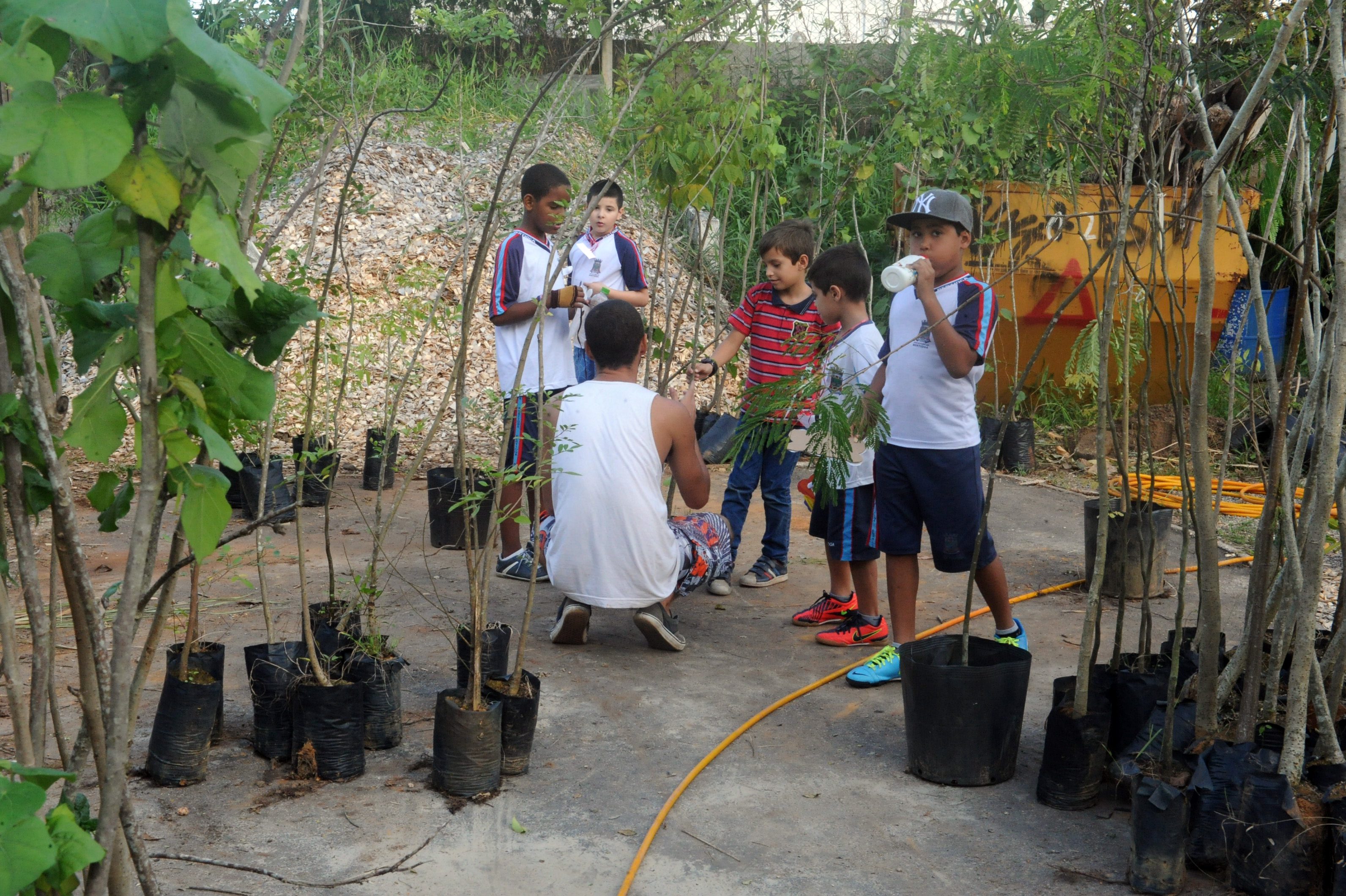 Aniversário do Viveiro de Plantas abre agenda da Semana do Meio Ambiente