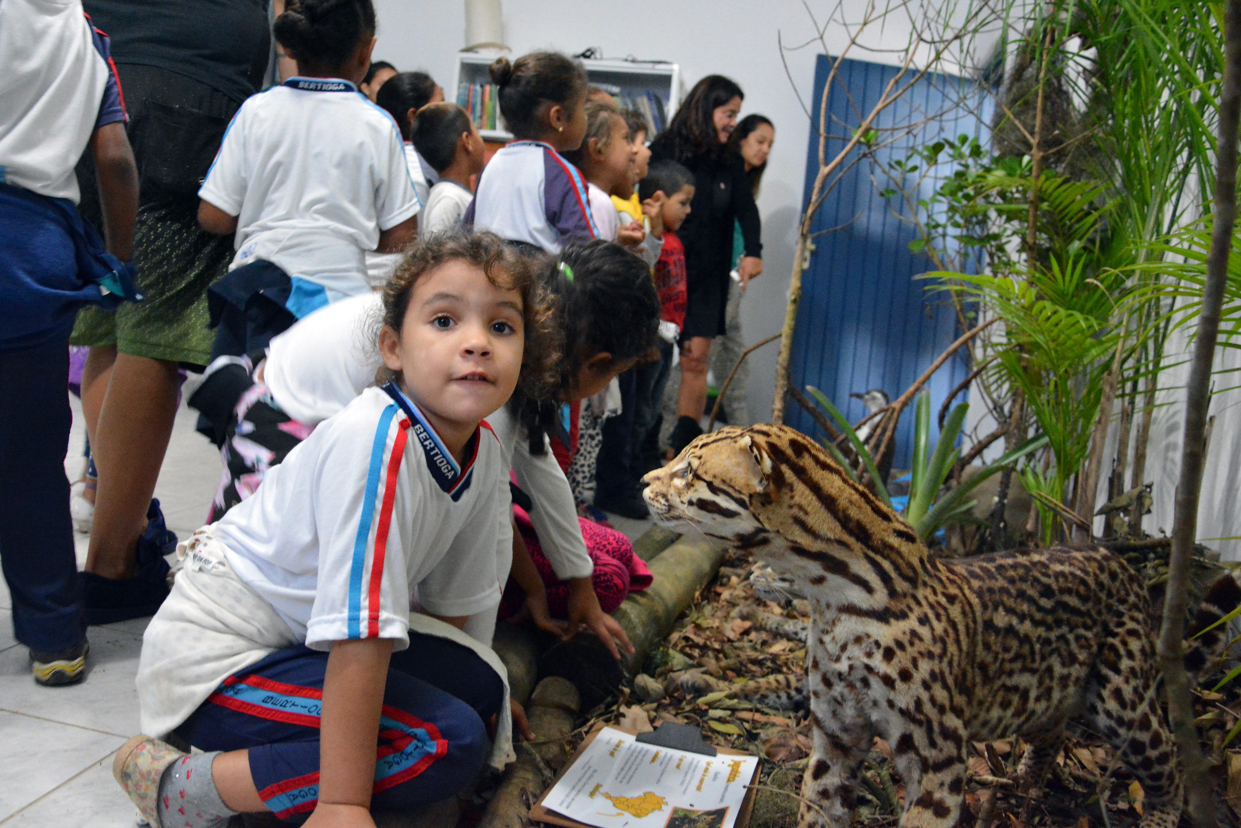 Viveiro ganha minimuseu de animais da Mata Atlântica