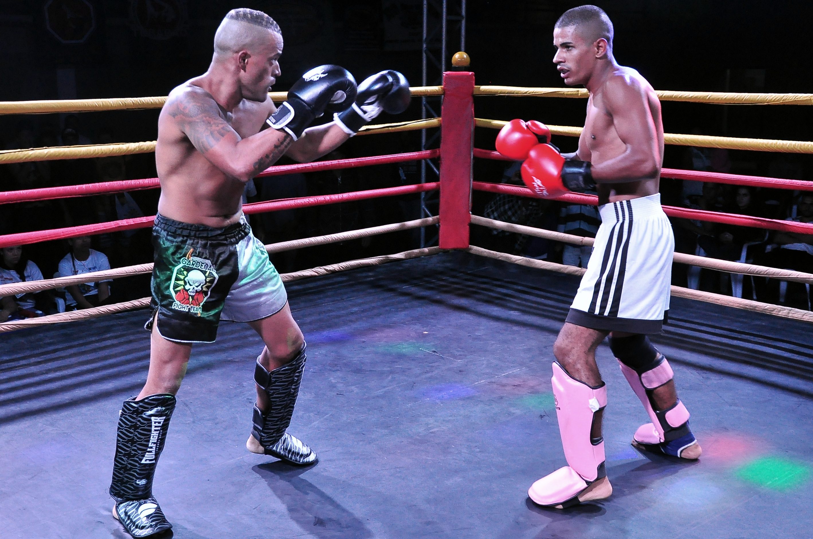 Bertioga sedia Campeonato Brasileiro de Muay Thai em dezembro