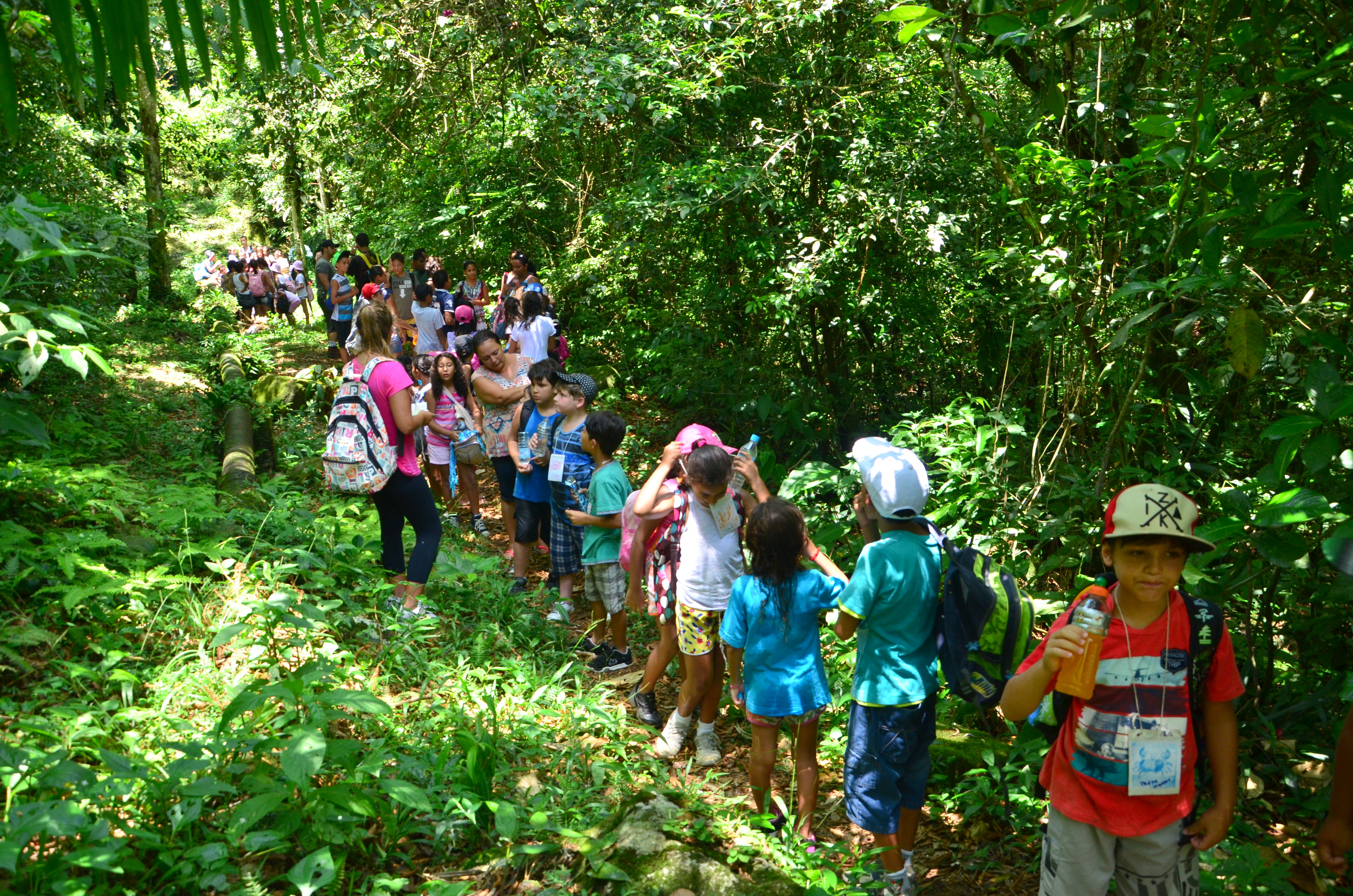 Meio Ambiente abre inscrição para curso de férias dia 02