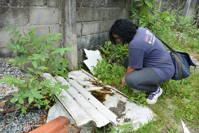 Agentes visitam bairros para alertar sobre a dengue