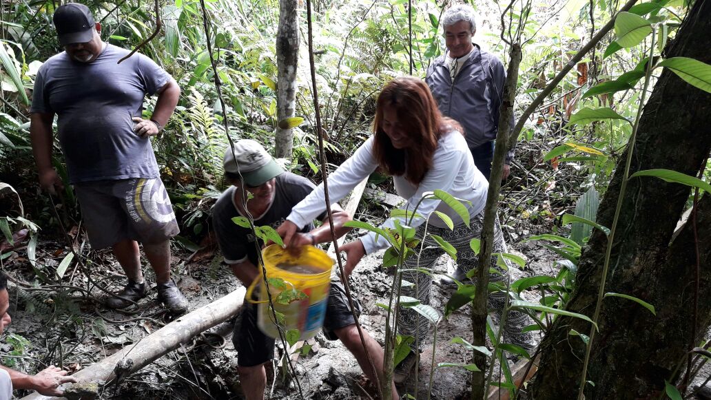 Meio Ambiente promove recuperação da nascente do Morro dos Vergaras