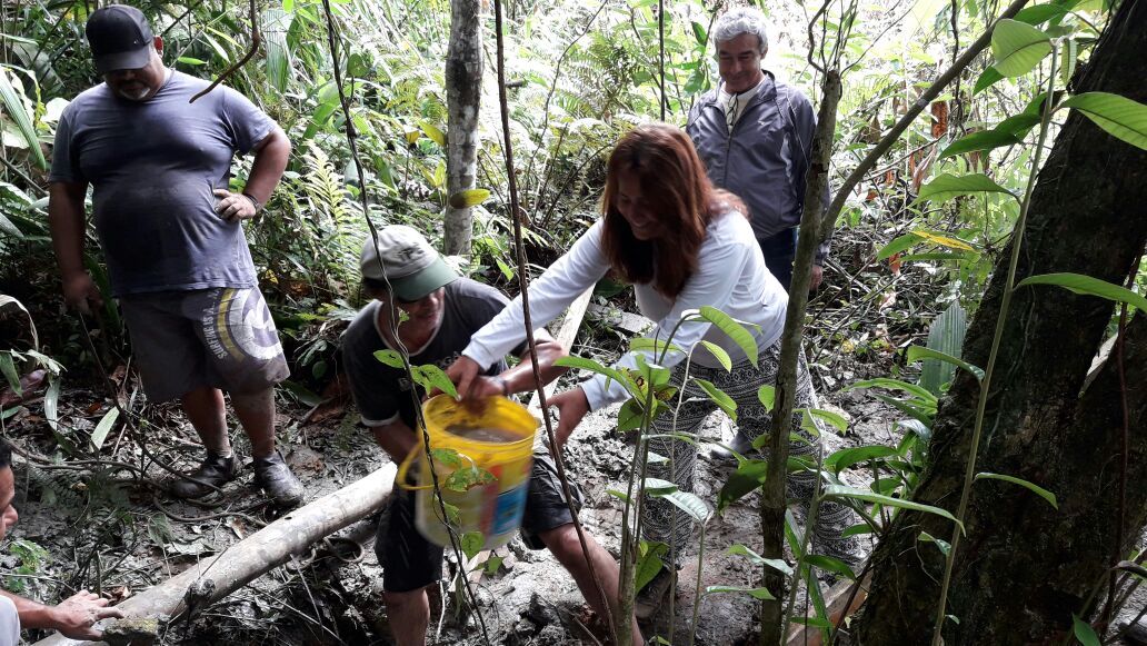 Meio Ambiente promove recuperação  da nascente do Morro dos Vergaras