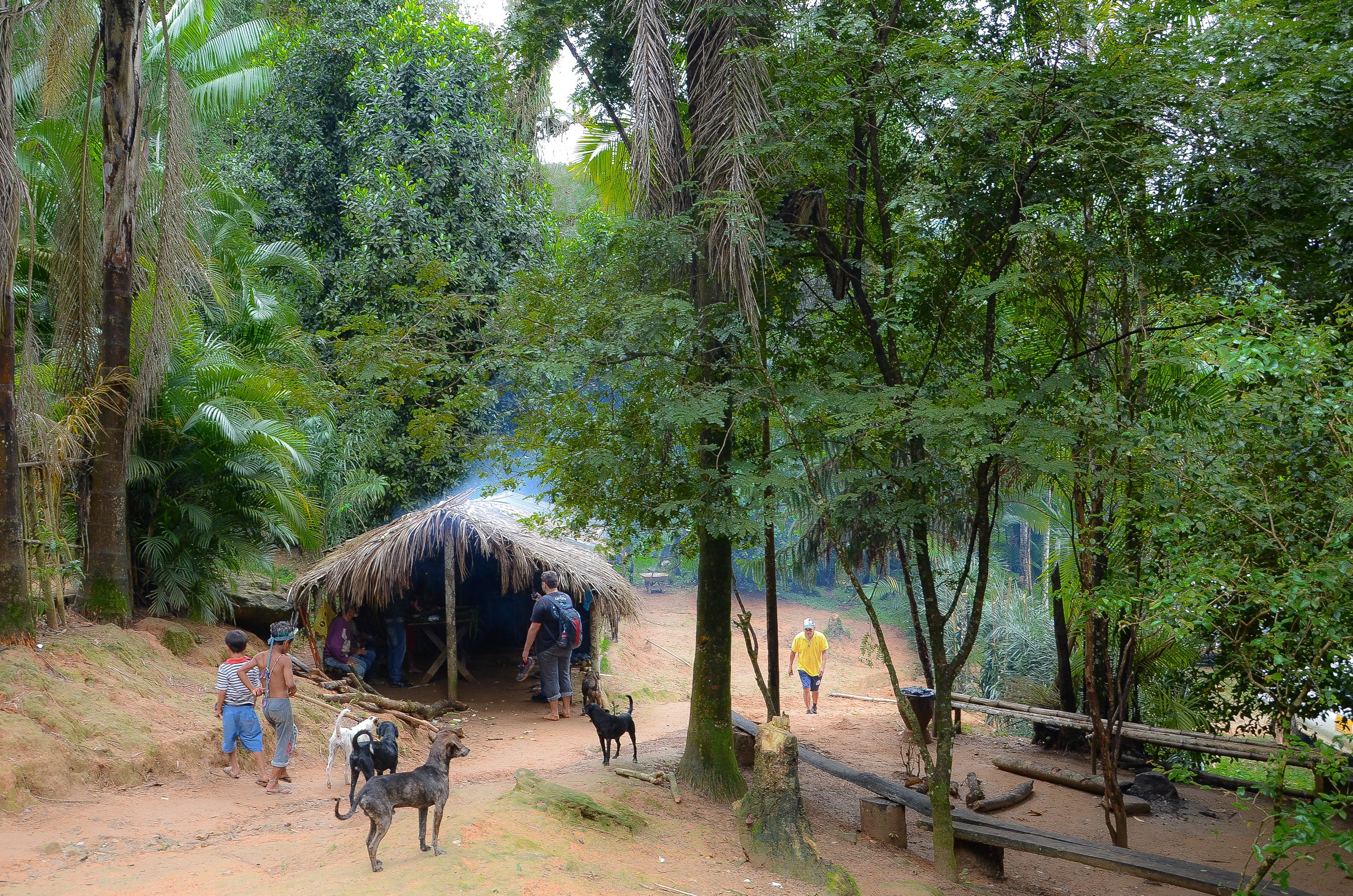 Vigilância Sanitária castra e vacina animais na Aldeia Rio Silveira