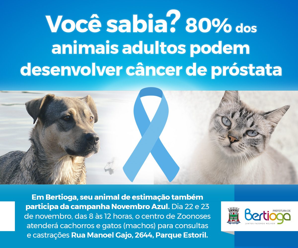 Novembro Azul Animal: castração evita câncer de próstata em cães e gatos