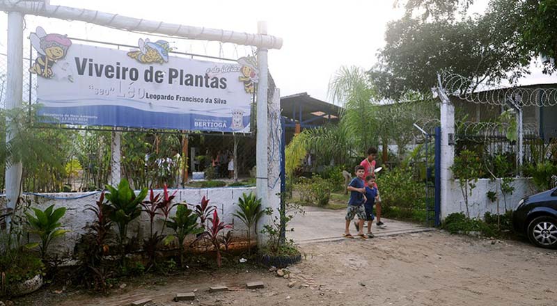 Viveiro recebe roda de conversa sobre exploração de bambu