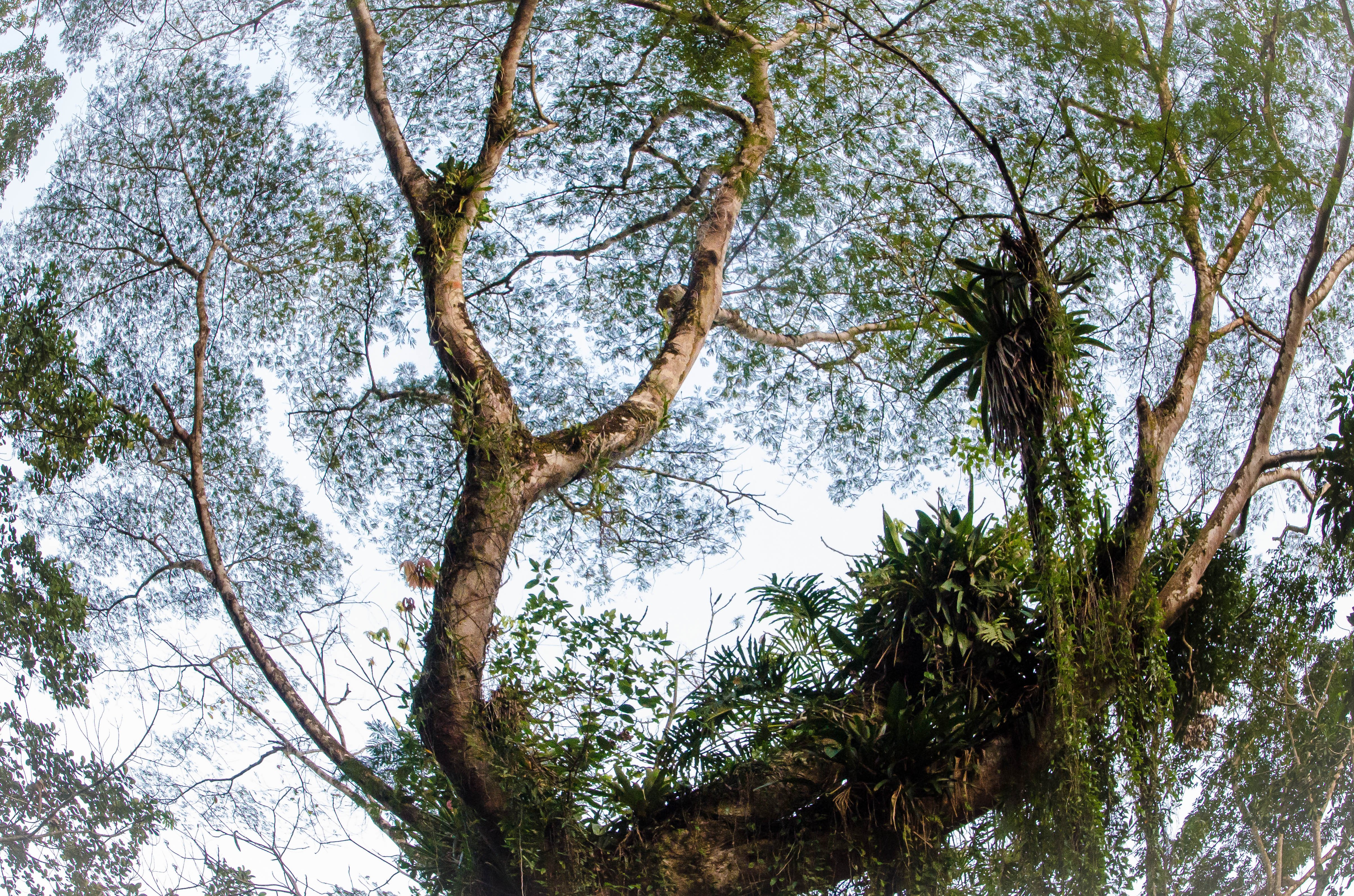 Bertioga se previne de desastres naturais com Plano Preventivo de Defesa Civil