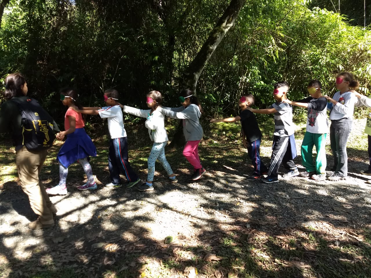 Professores e alunos da rede municipal visitam Parque das Neblinas