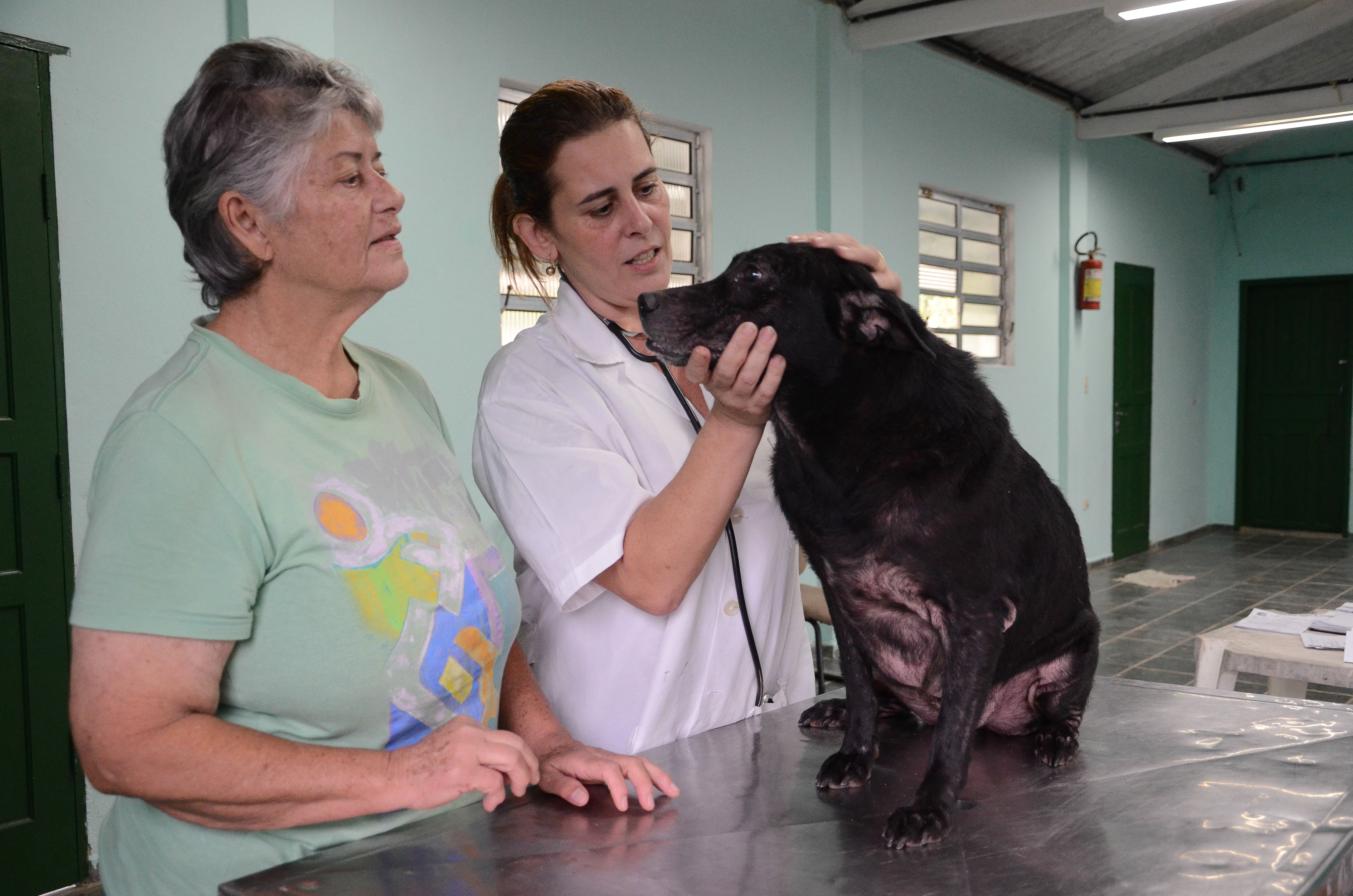 Imunize seu animal contra a raiva: campanha de vacinação é de 17 a 31 de agosto