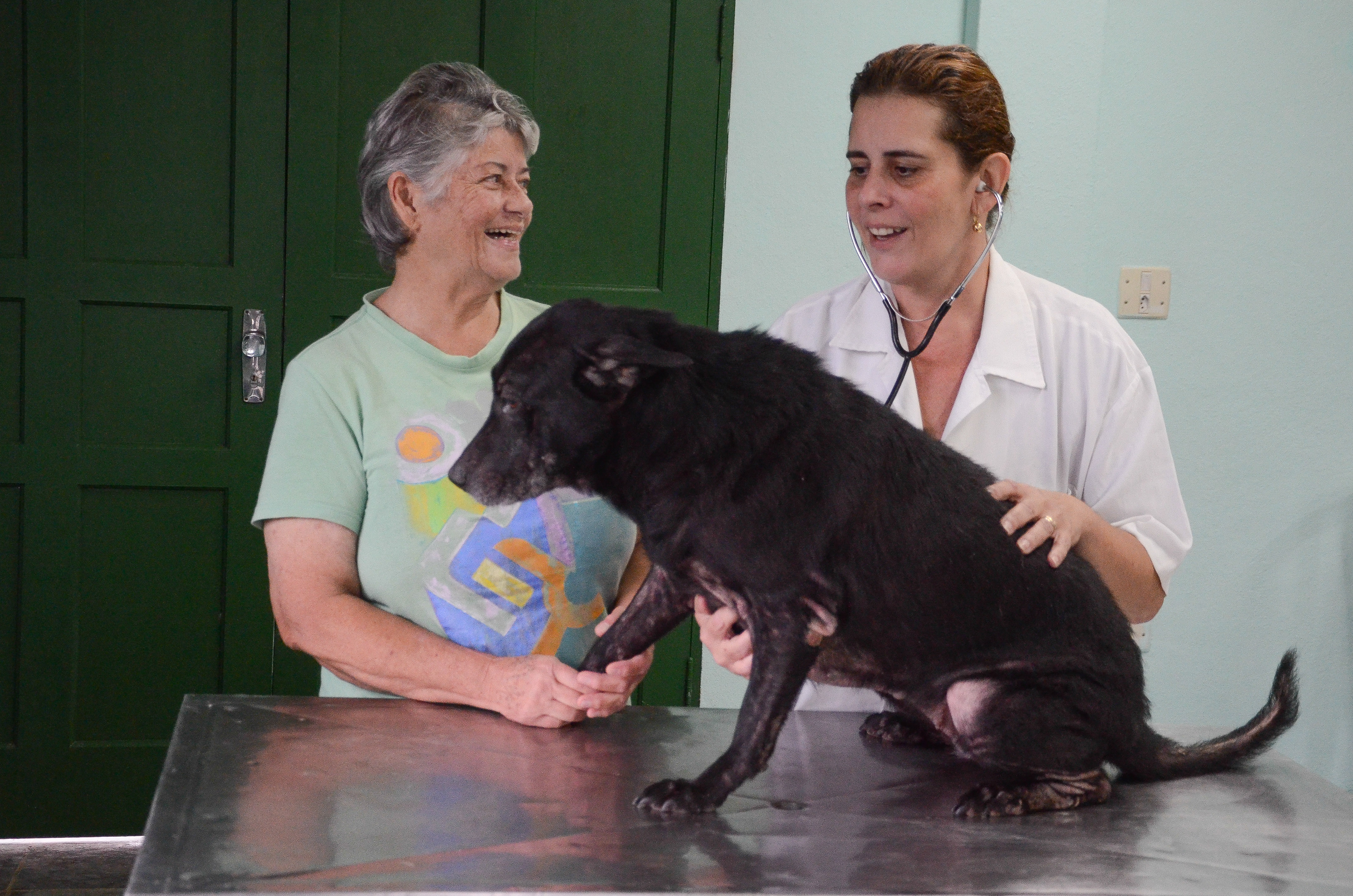 Função da Zoonoses é cuidar da saúde dos humanos