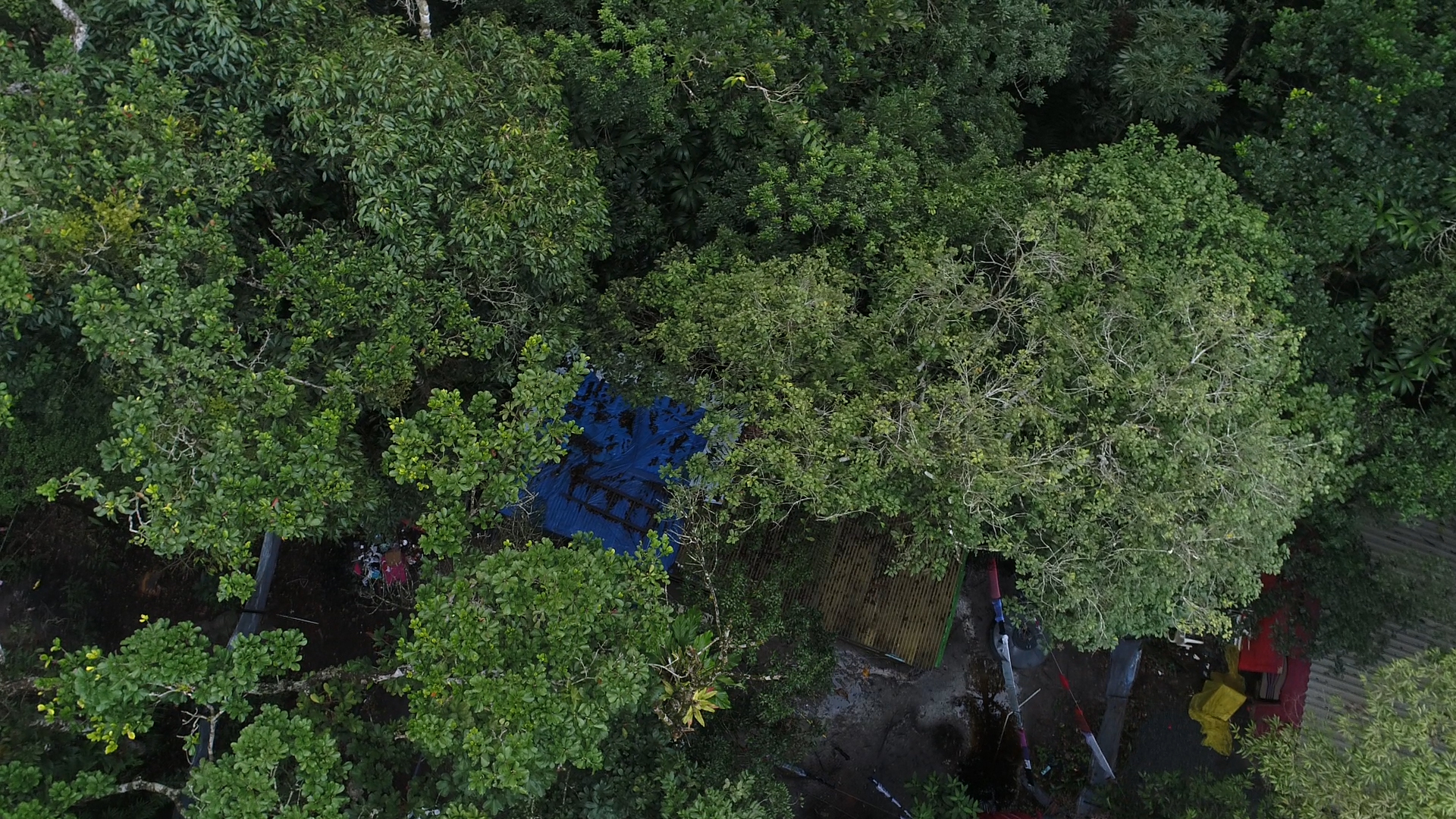 DOA e Polícia Ambiental realizam operação contra invasão na Estrada Futura