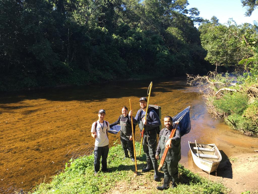 Universitários visitam Bertioga para estudar peixes do Rio Itapanhaú