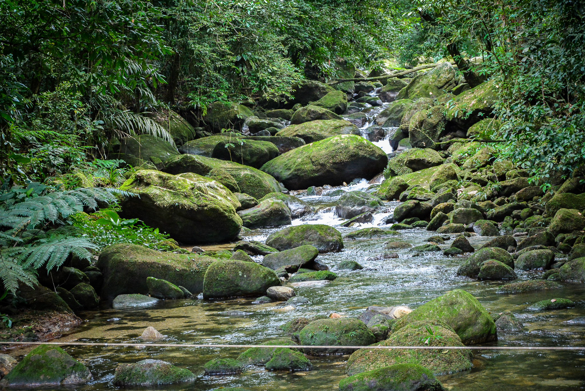 Aberto chamamento público para monitoria ambiental em trilhas do PERB