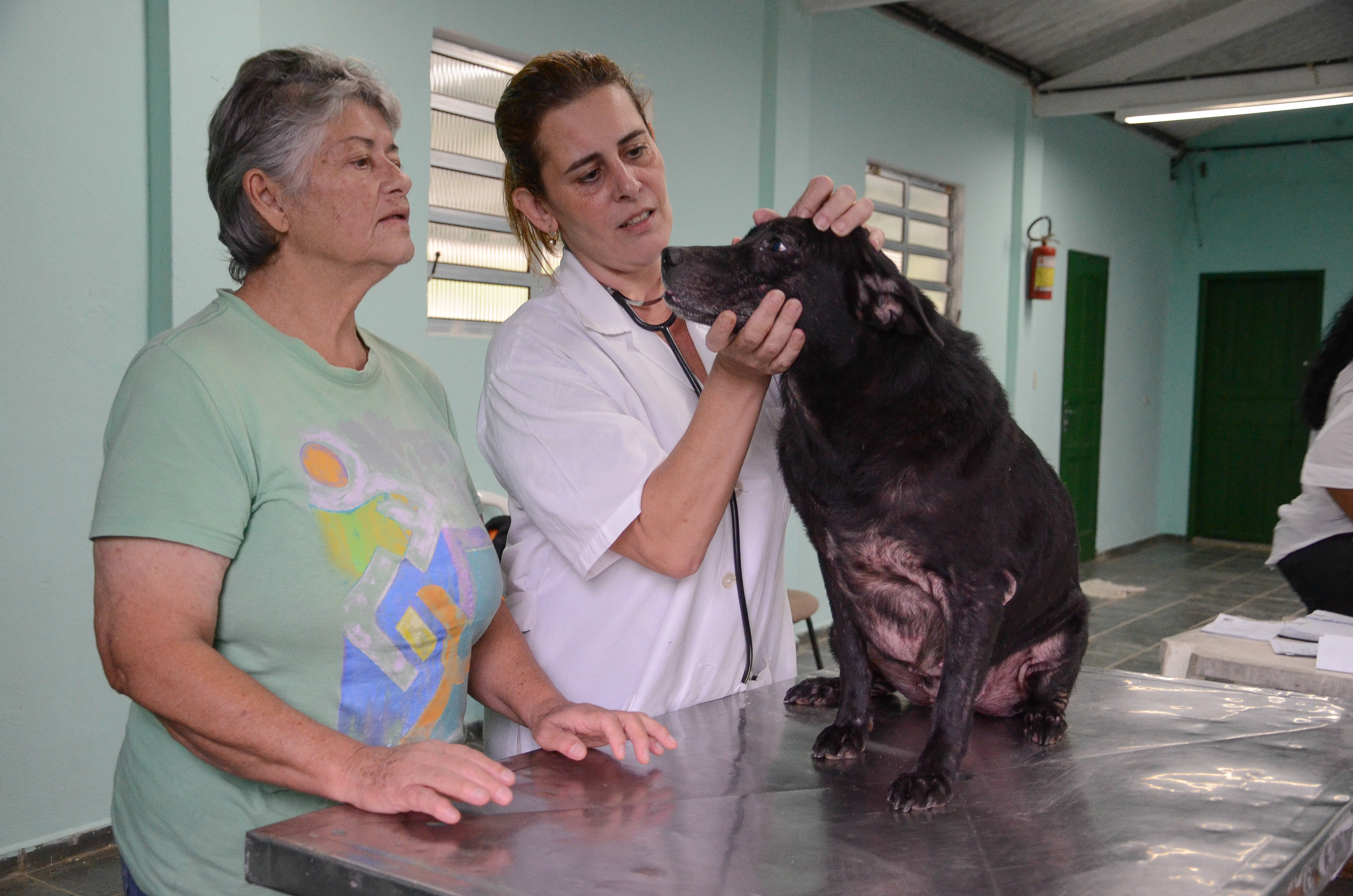 Prefeitura castra e vacina animais na Aldeia Rio Silveira