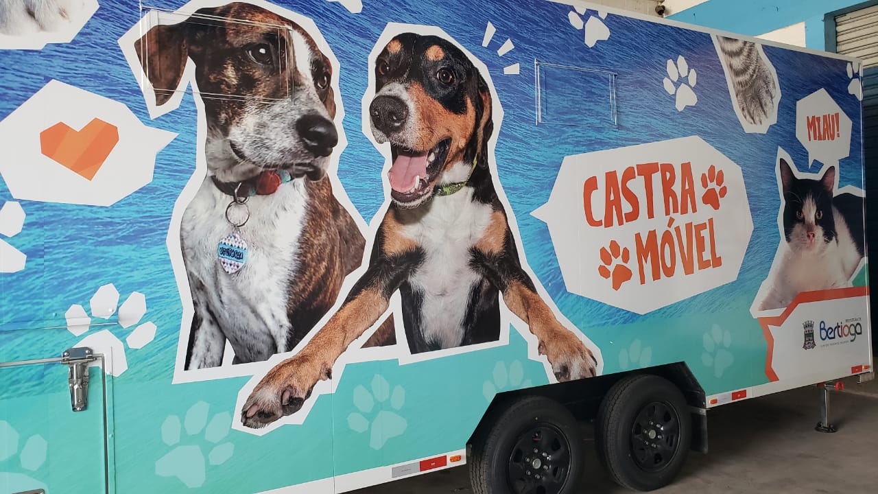“Castramóvel” vai atender cães e gatos nos bairros