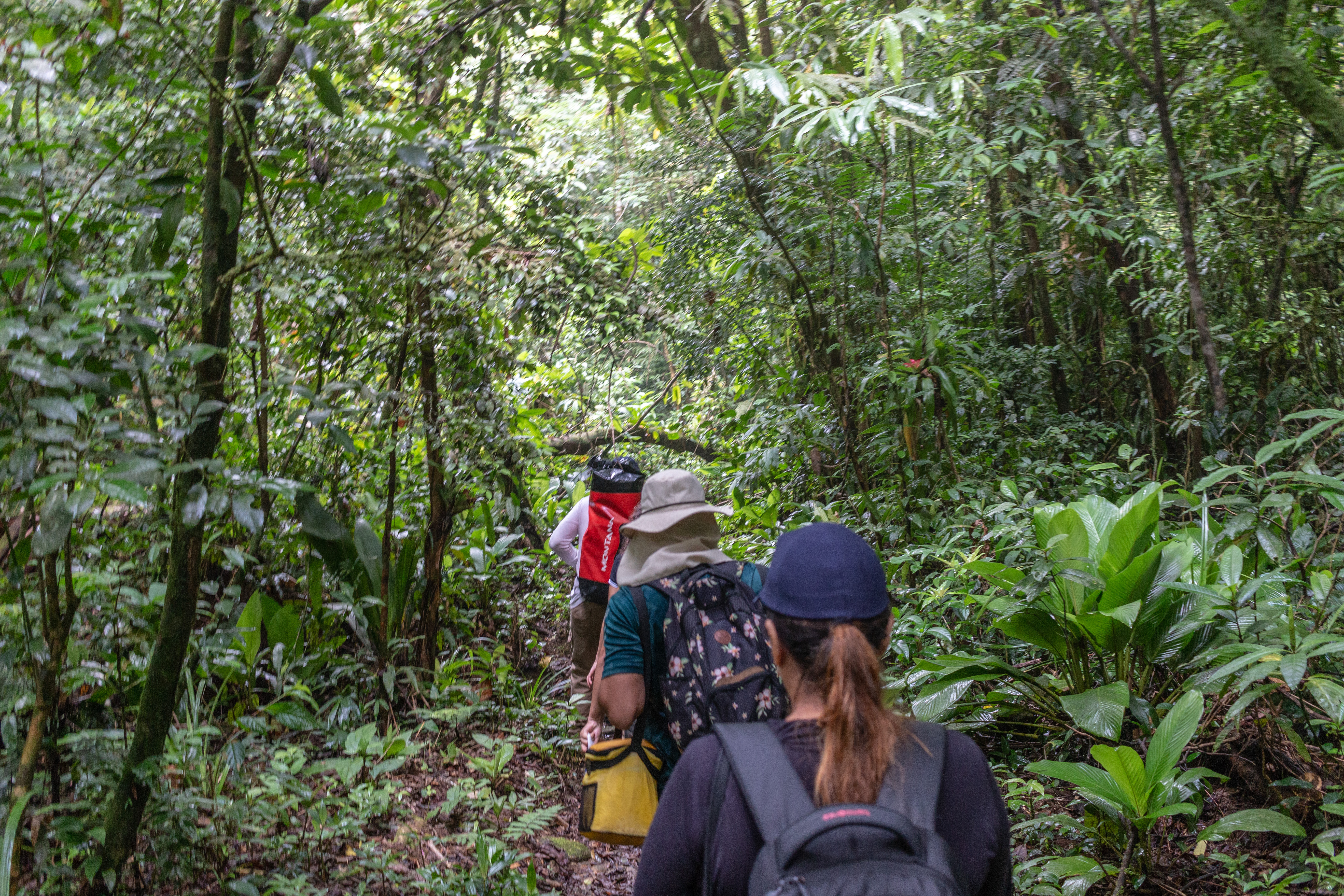 “Trilha para Todos” aproxima população do ecoturismo