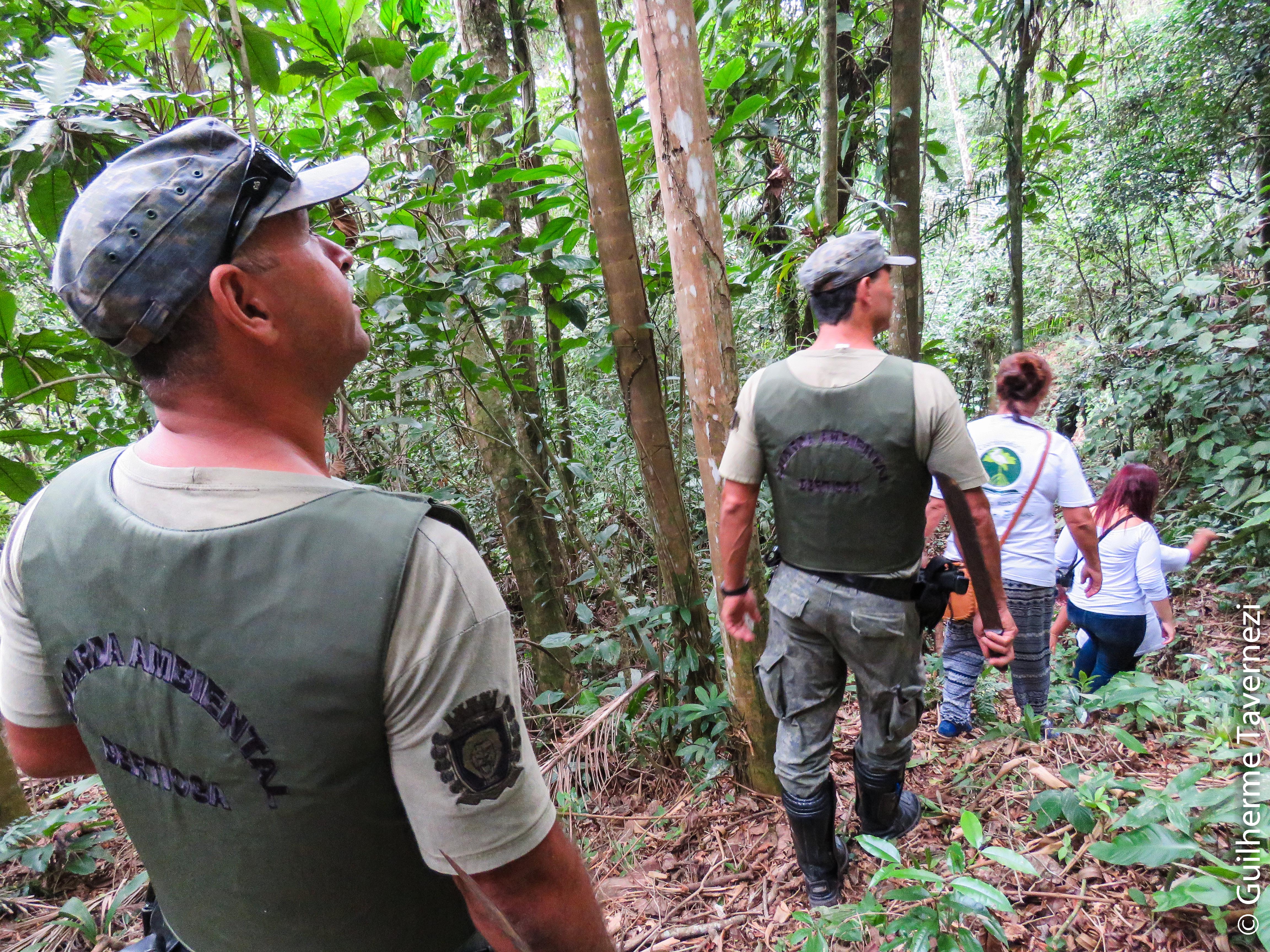 Prefeitura realiza mais de cinco mil ações entre resgate de animais, demolições e fiscalização ambiental, em 2019  