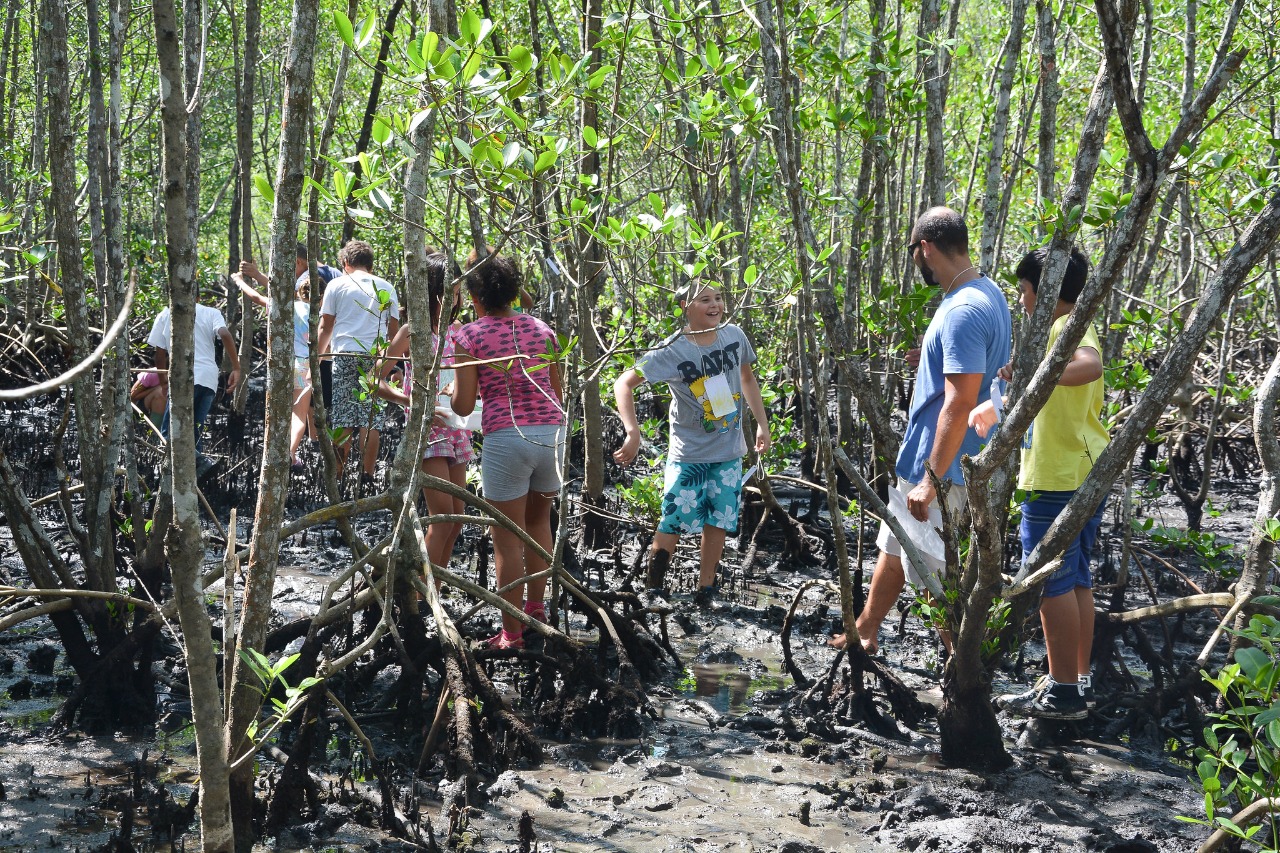 Projeto ‘Um Mangue no meu quintal’ incentiva alunos a refletirem sobre o ecossistema de manguezal