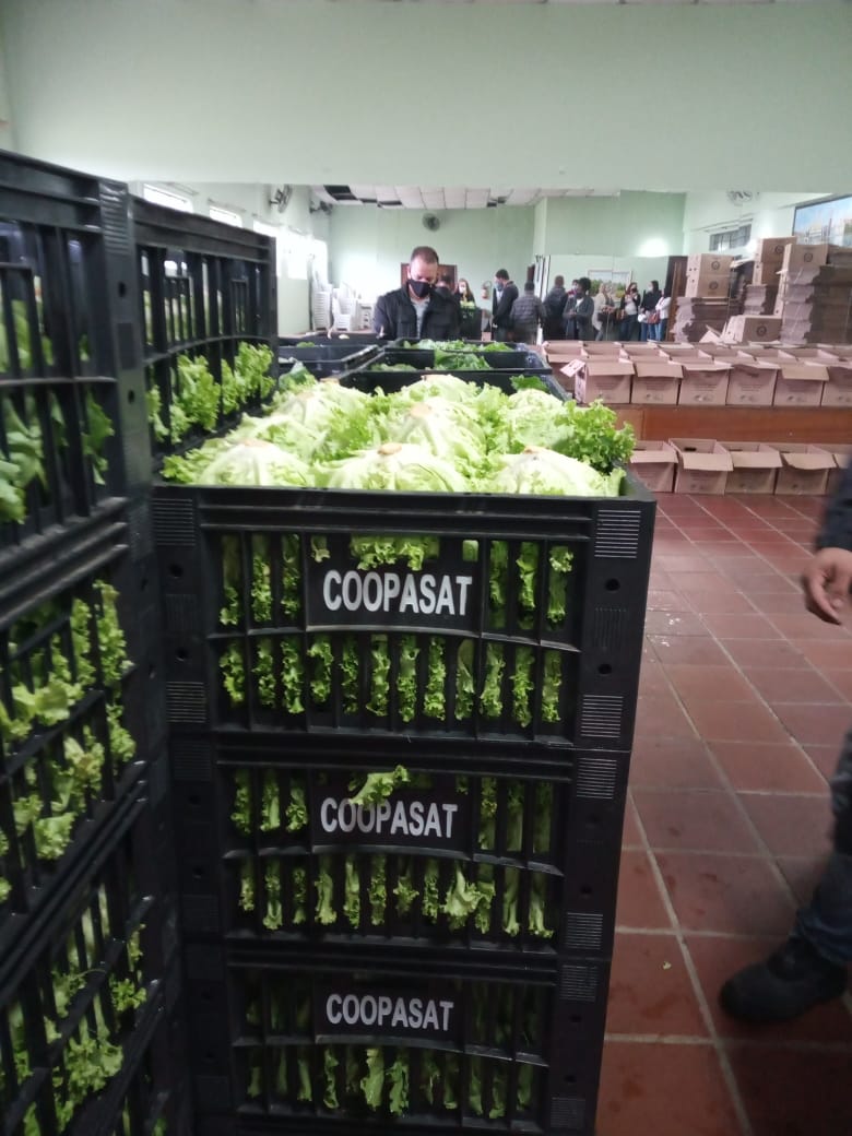 Bertioga distribui Cesta Verde às famílias em vulnerabilidade social