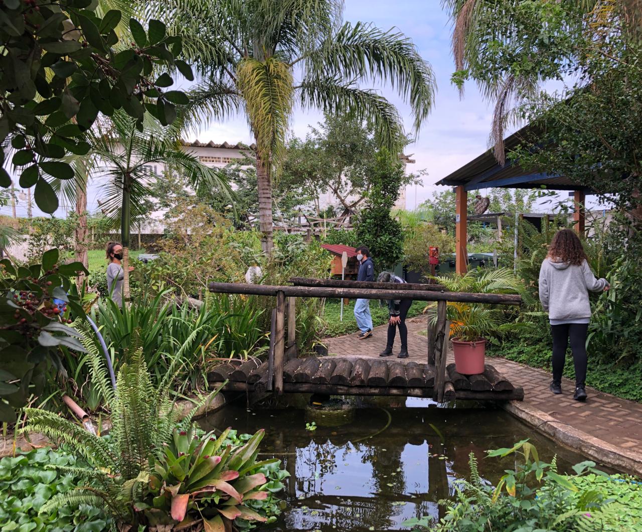 Viveiro de Plantas e Ideias ‘Seo’ Leo é aberto à visitação