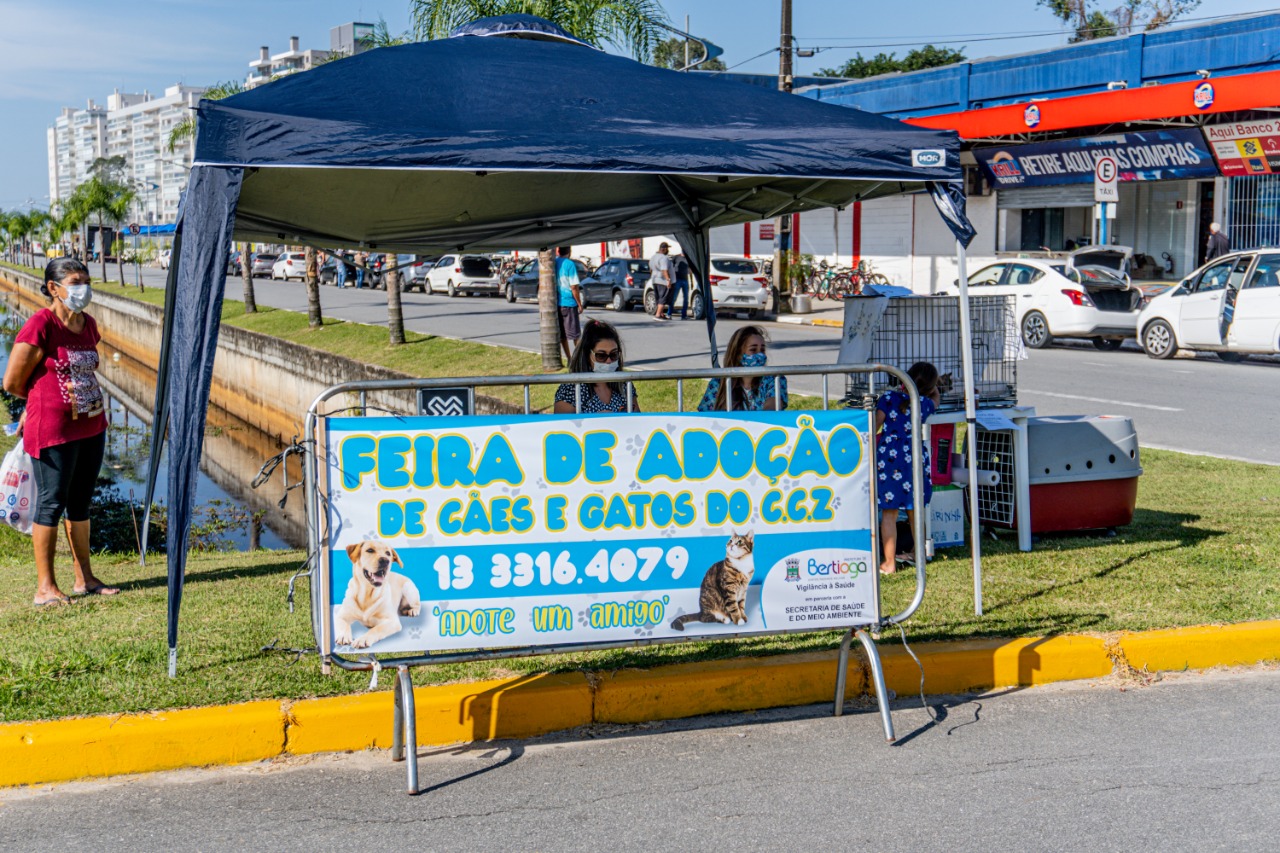 Feira de adoção de animais volta a ser presencial em Bertioga