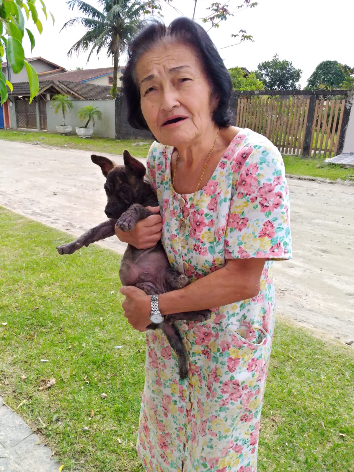 ‘Ruas e Memórias’ homenageia Zenaide Tanaka