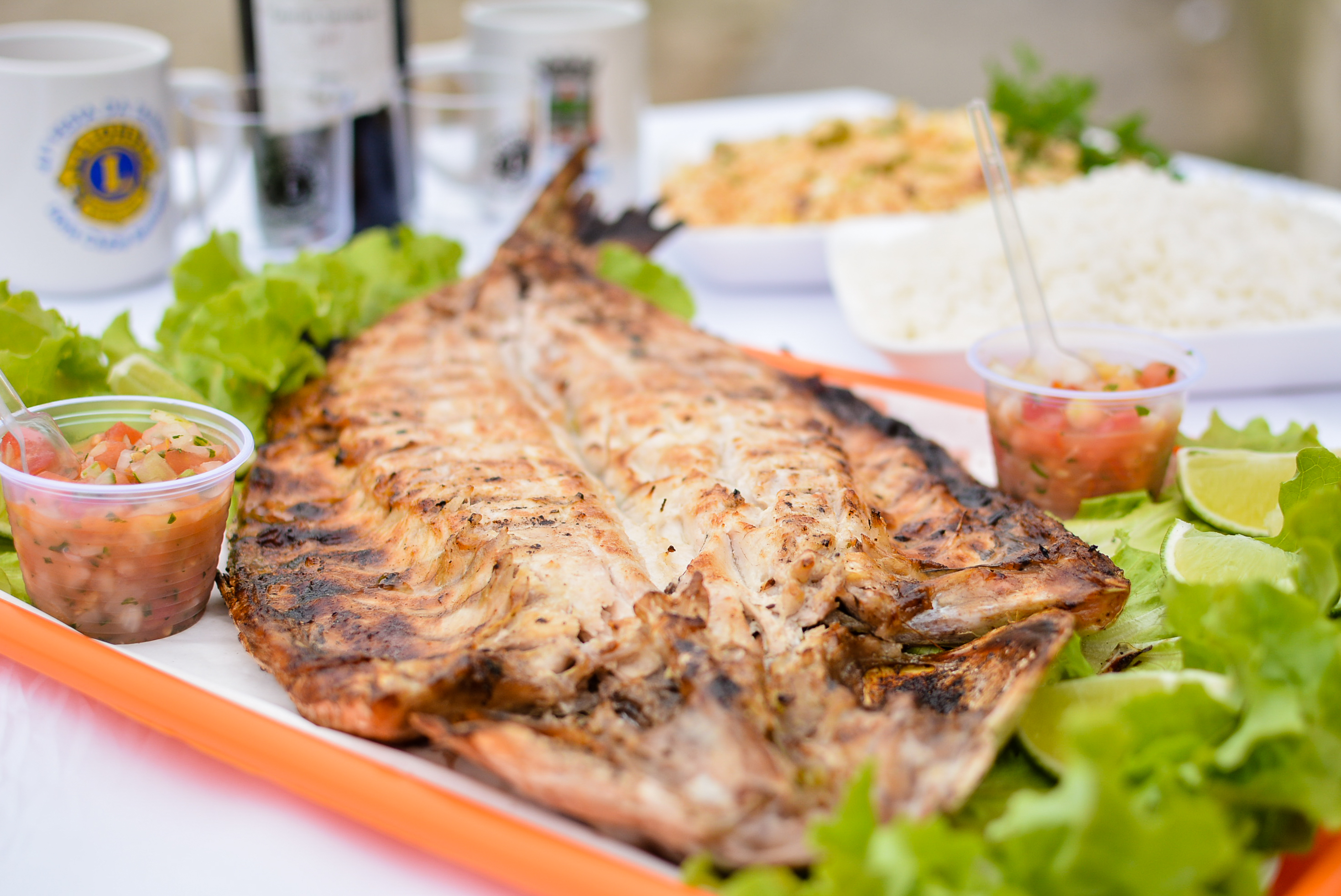 Festa da Tainha é opção gastronômica em Bertioga