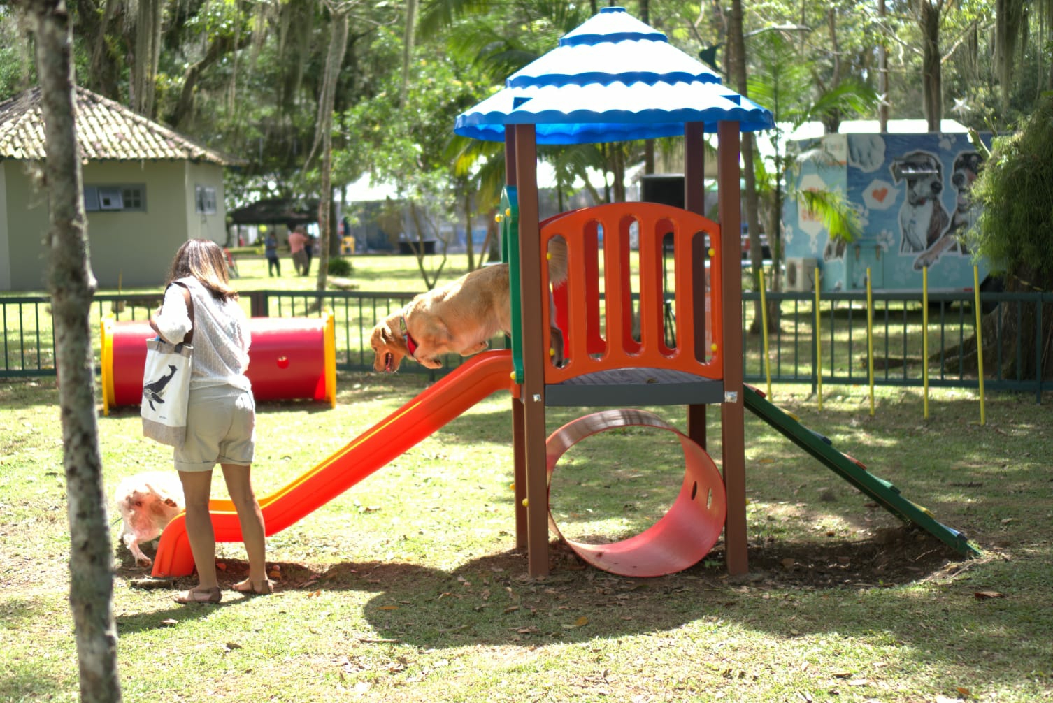 Espaço Dog será a nova atração do Parque dos Tupiniquins