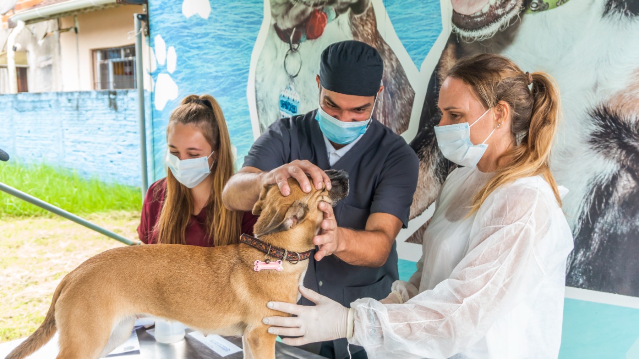 Castramóvel atende animais dos bairros são João e Caiubura em março