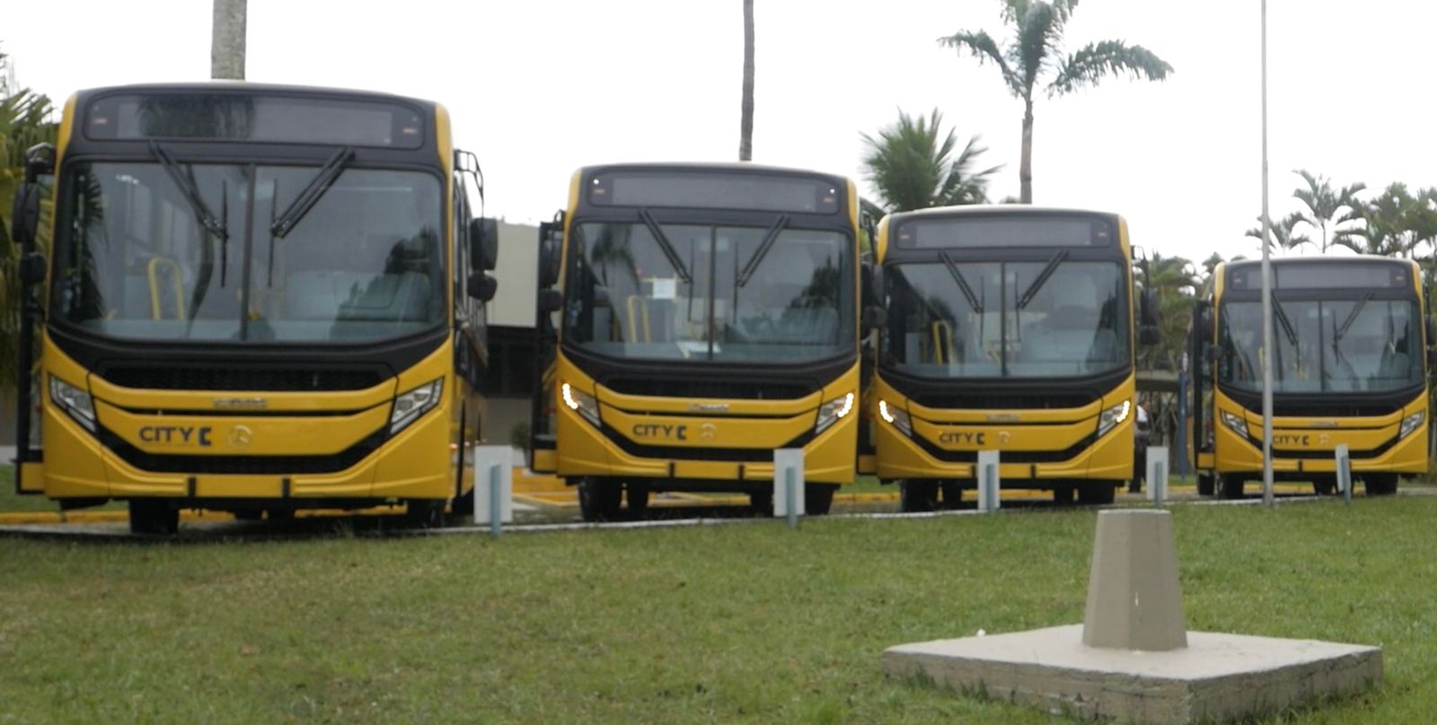 Transporte escolar da rede municipal de Bertioga recebe novos ônibus
