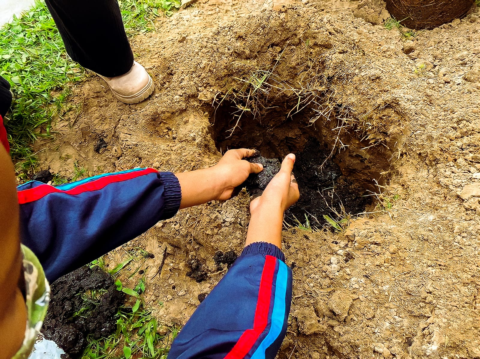 Viveiro Plantas e Ideias ‘Seo’ Léo recebe visita dos alunos da Escola Municipal José Inácio Hora