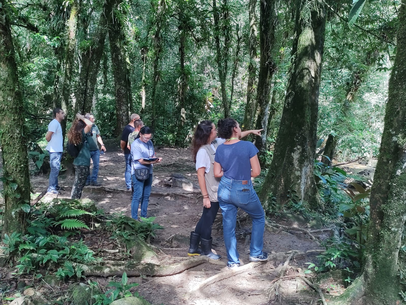Bertioga desenvolve Plano Municipal da Mata Atlântica pela conservação
