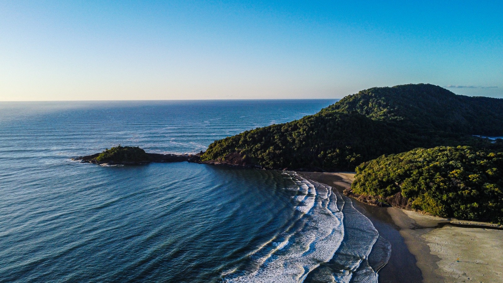 VIII Festival ‘Oceane-se na Mata Atlântica’ comemora a Década do Oceano